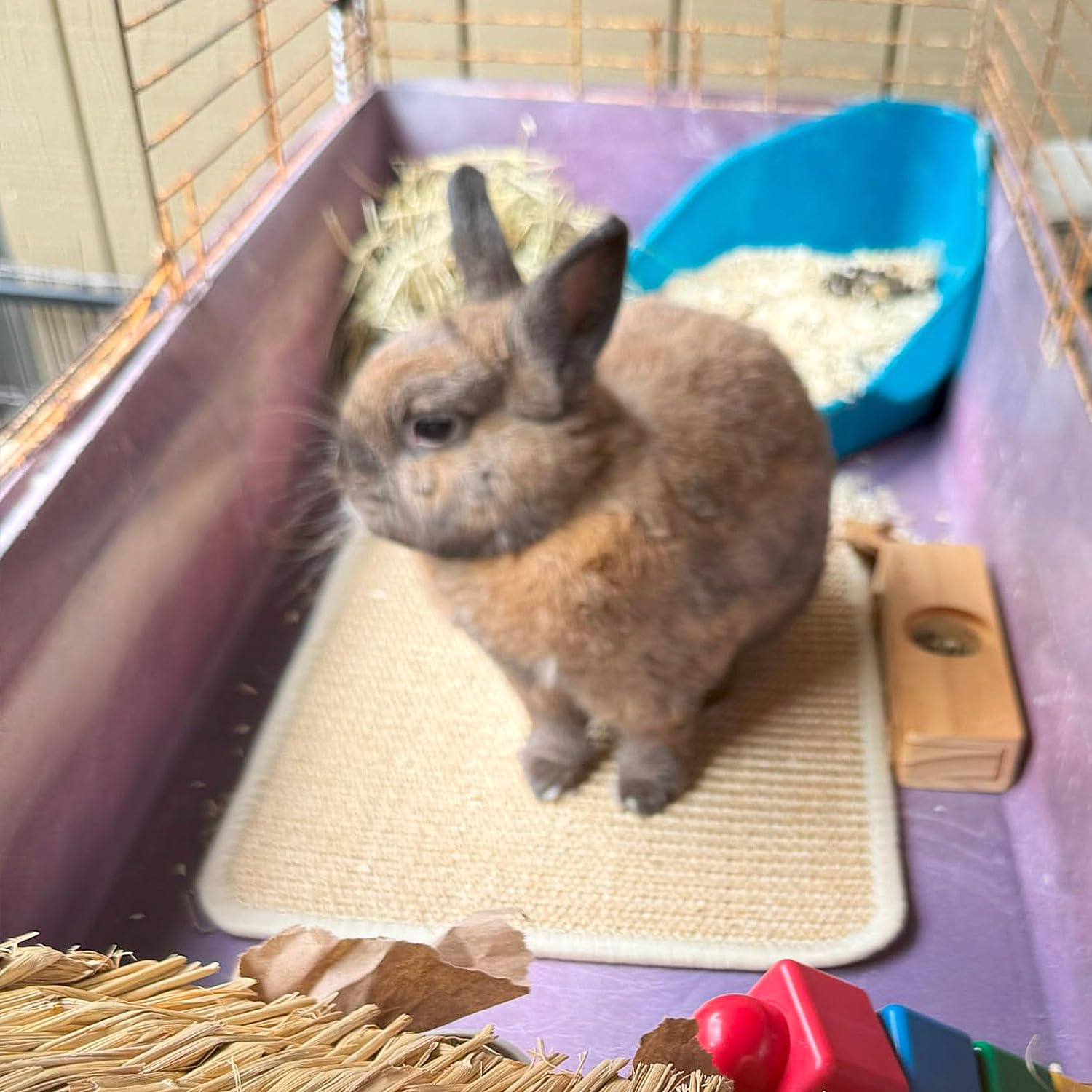 Podoo Bunny Scratch Pads, Sisal Rabbit Scratching Pad, Natural Rabbit Resting Mats For Cages, Forage Grass Mat Indoor Essentials