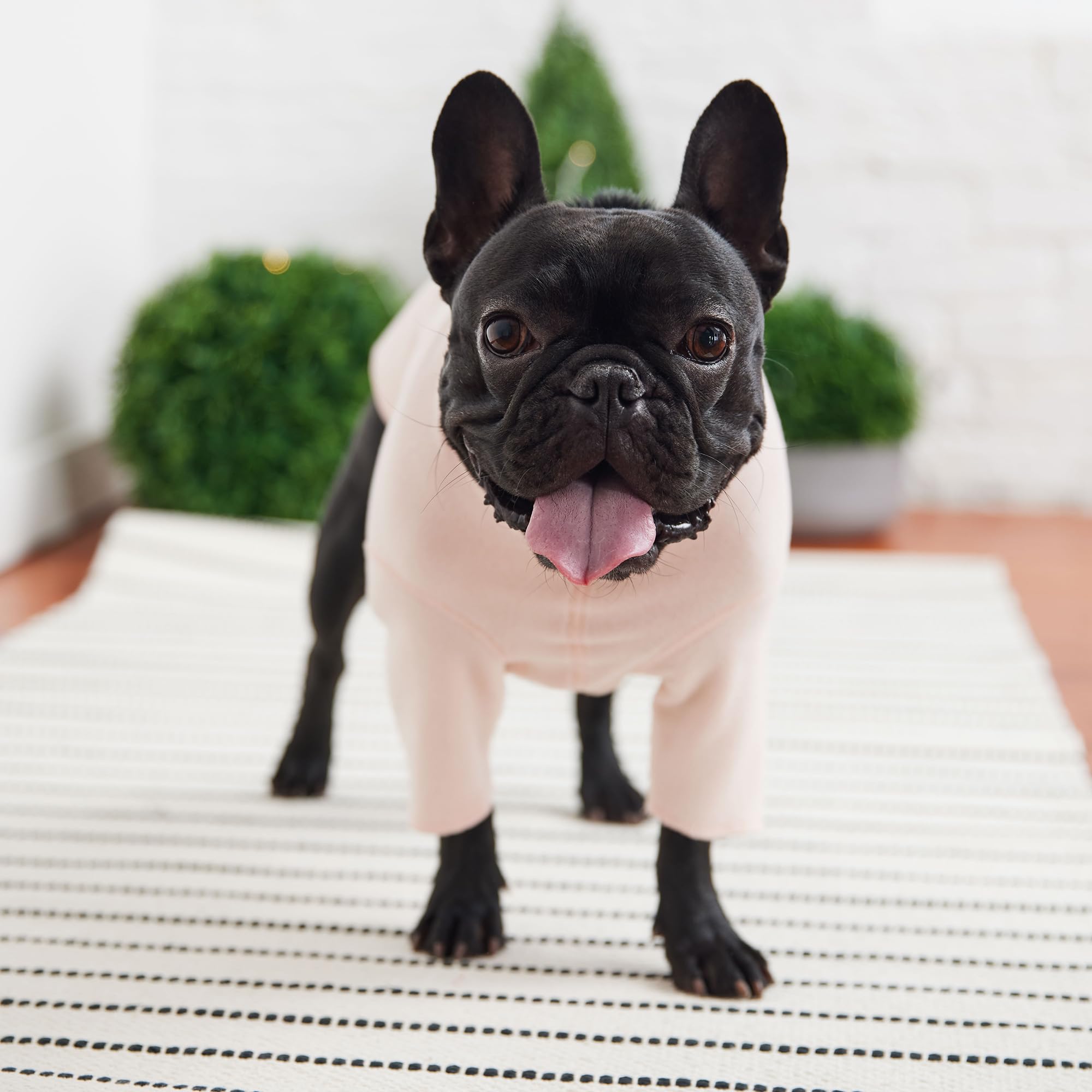 Gf Pet Gondola Base Layer For Dogs | Micro Polar Fleece Dog Bodysuit | Warm 4-Way Stretch Onesie | Full Body Coverage, Protection From Cold | Pajamas & Winterwear - Pink - 4X Large