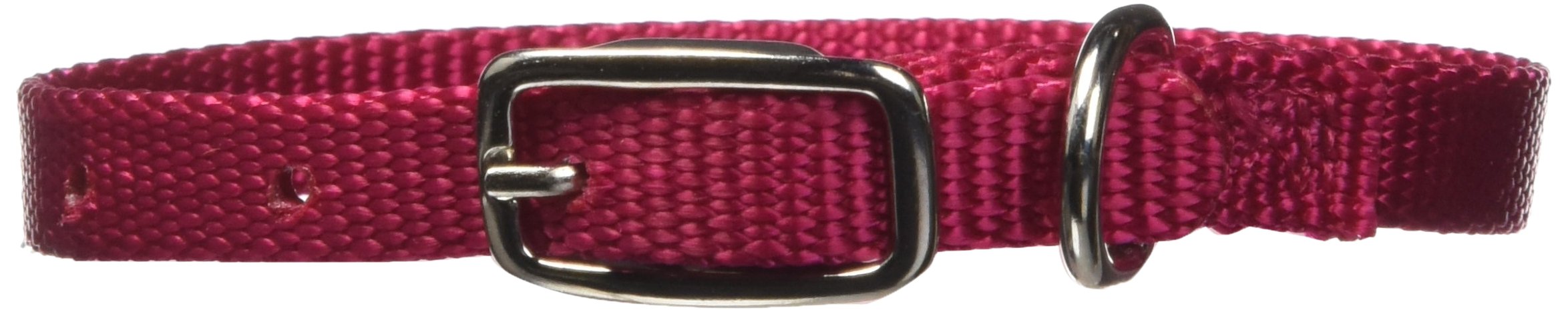 Hamilton Adjustable Nylon Dog Collar, Wine, 3/8' X 7-12'