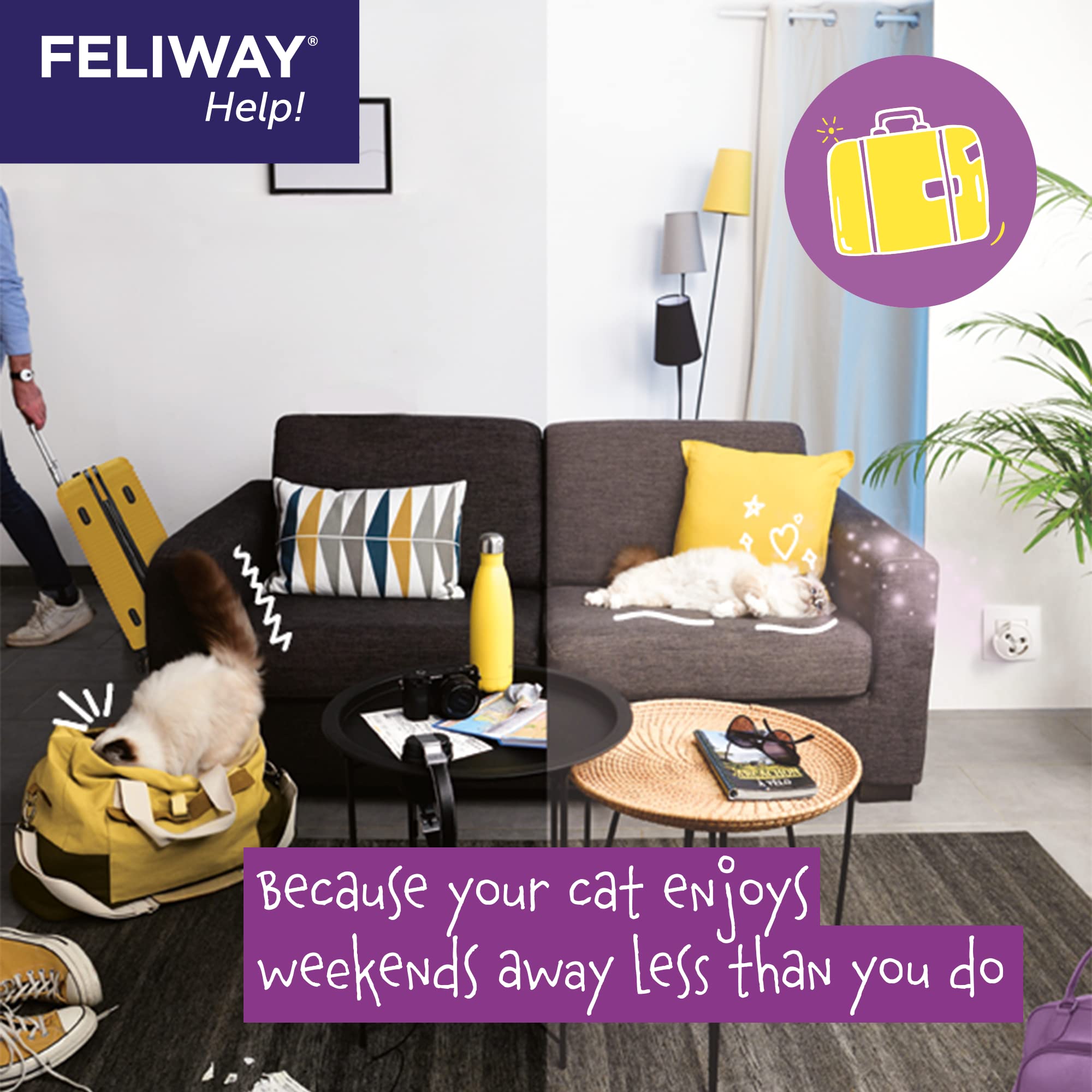 FELIWAY® Cat Calming Pheromone Refills, 3-Pack, 7 Days, Purple, Model E81820B, Ethylene Vinyl Acetate