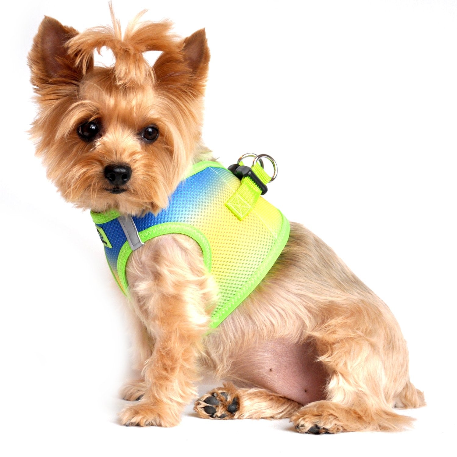 American River Dog Harness Ombre Collection - Colbalt Sport XXXL by Doggie Design