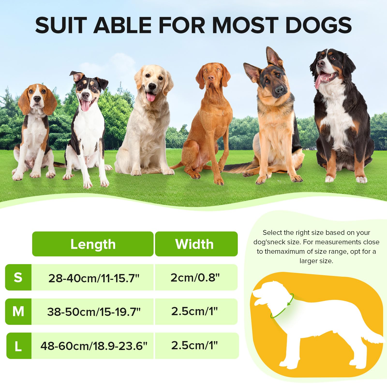 Light Up Dog Collar, Adjustable Usb Rechargeable Glow In Dark Dog Collar Waterproof For Small Medium Large Dogs (Green, Small)