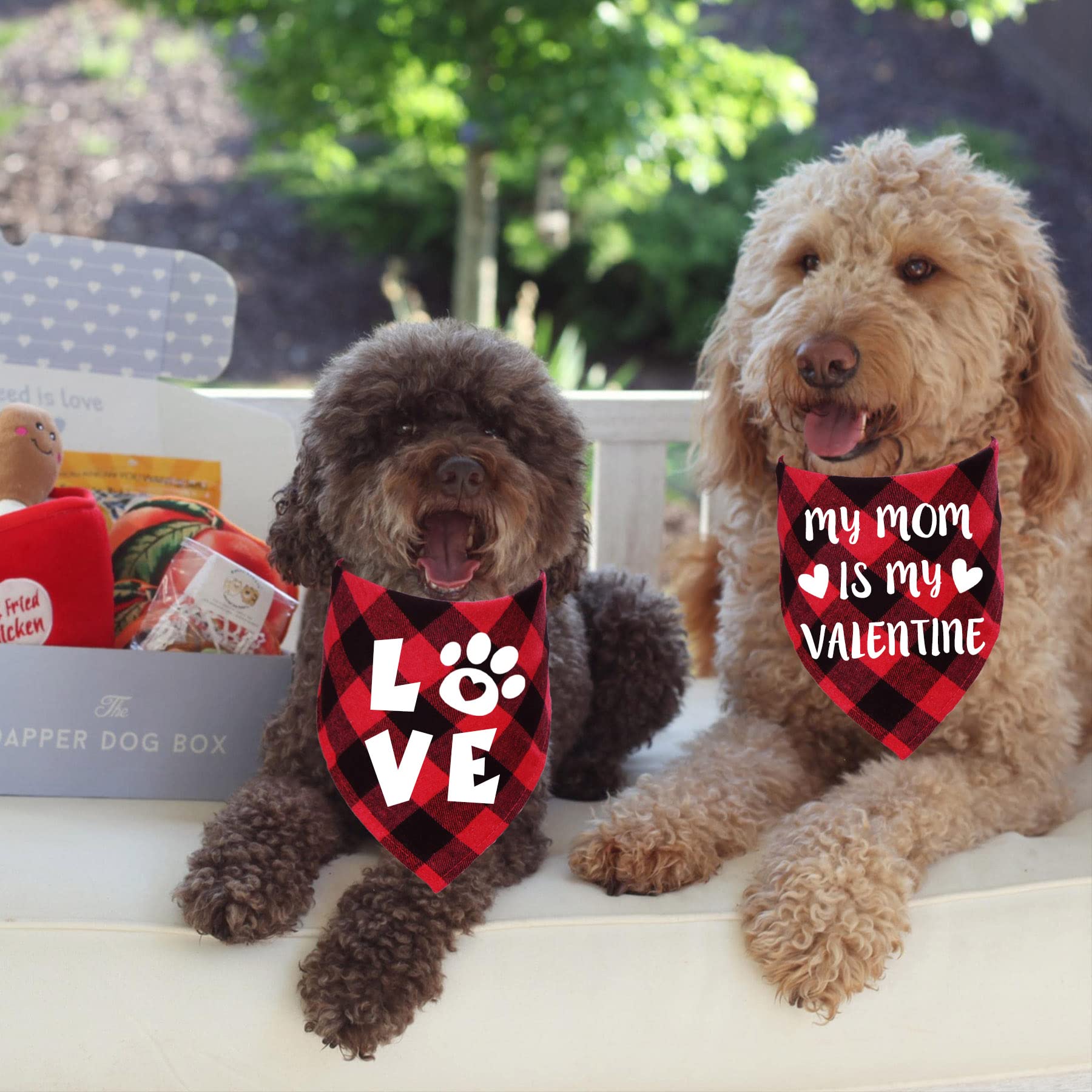 Stmk 2 Pack Valentines Dog Bandanas, Dog Valentines Bandana For Dogs Pets (Red, My Mom Is My Valentine & Love)