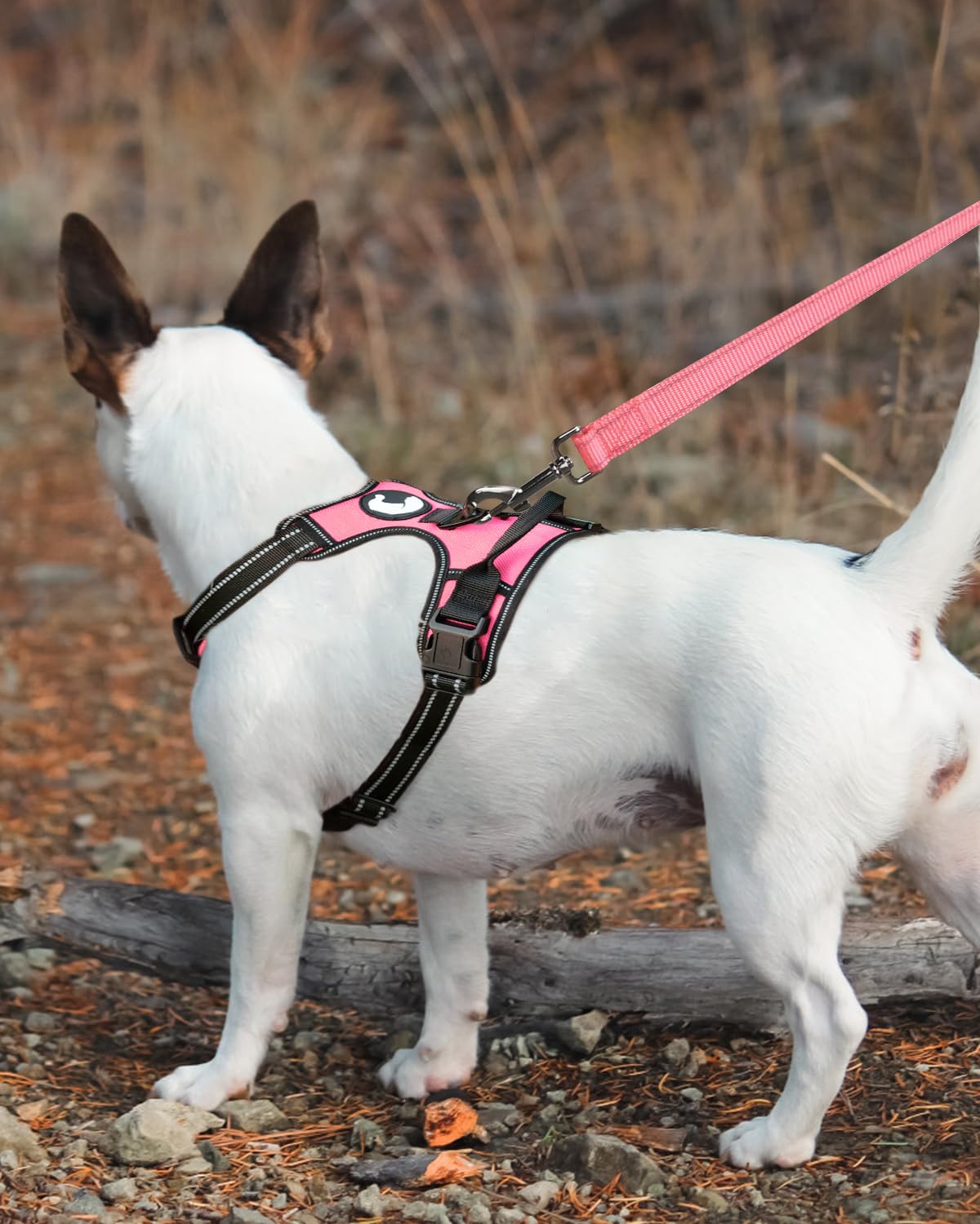 Joytale Double-Sided Reflective Dog Leash, 6 Ft/5 Ft/4 Ft, Padded Handle Nylon Dogs Leashes For Small & Medium Dogs Walking, Pink, 5Ft