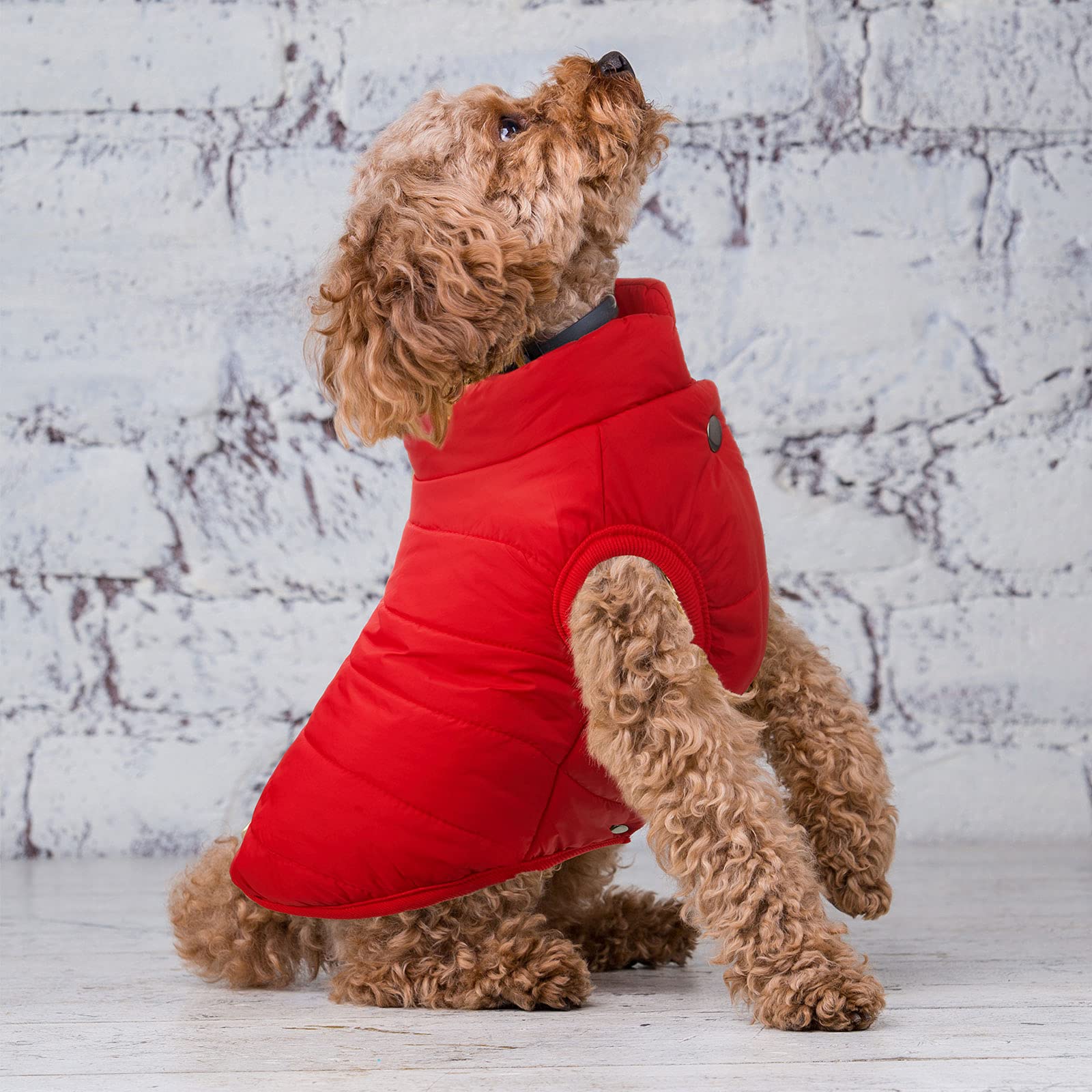 2 Pieces Pet Dog Jacket 2 Layers Fleece Lined Warm Dog Jacket Soft Windproof Small Dog Coat For Winter Cold Weather (M)