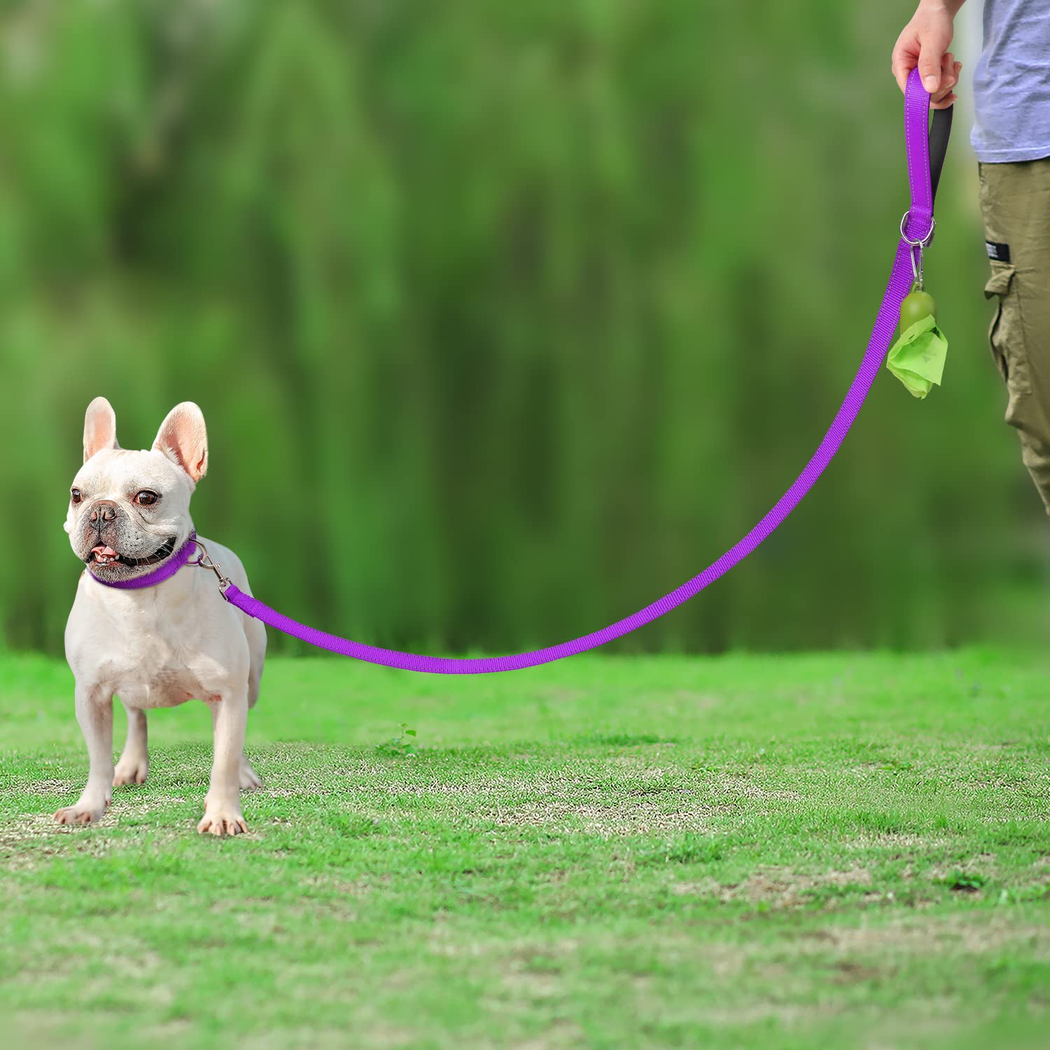 Joytale Double-Sided Reflective Dog Leash, 6 Ft/5 Ft/4 Ft, Padded Handle Nylon Dogs Leashes For Small & Medium Dogs Walking, Purple, 5Ft