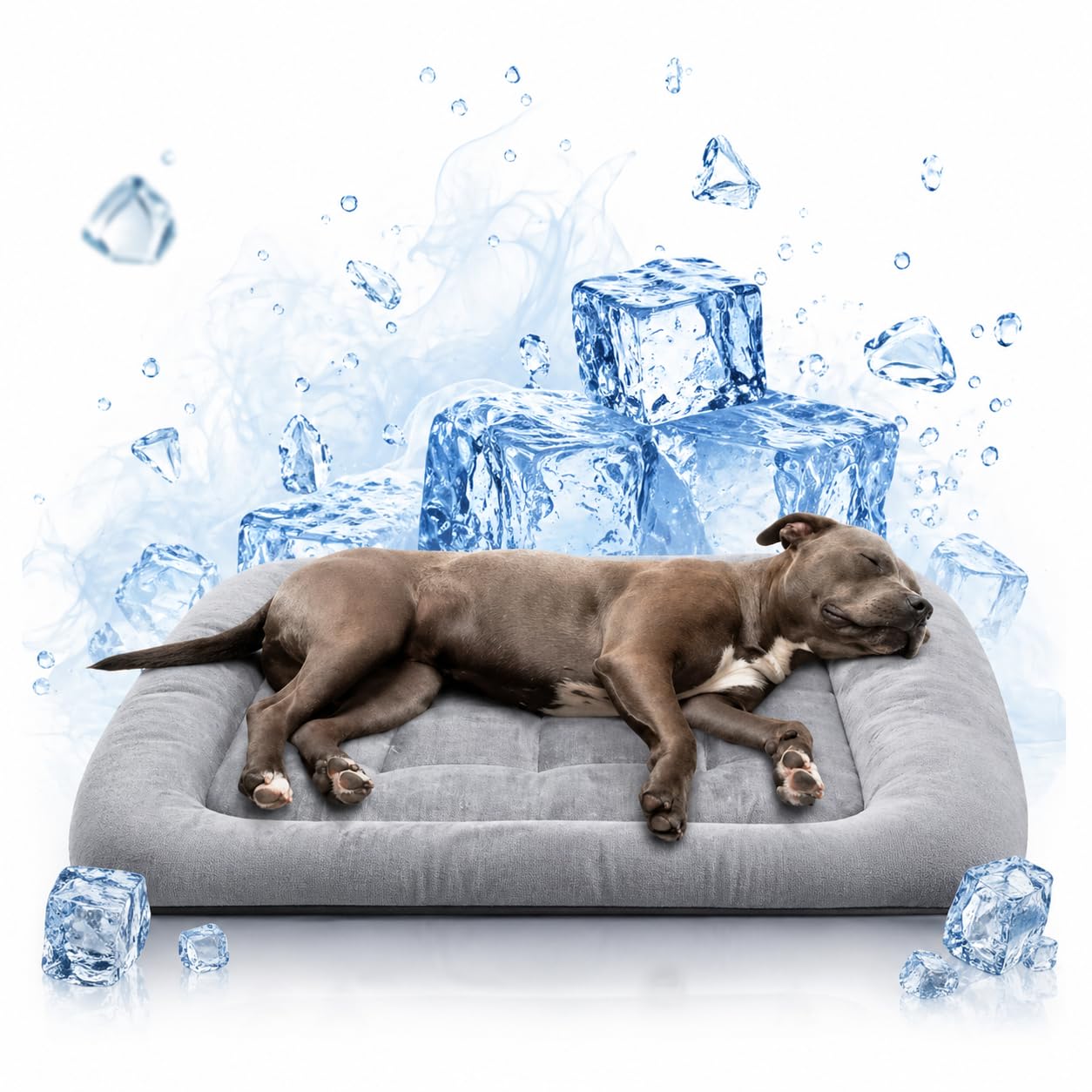 UNIQUE PET COLLECTION 60cm Silky Bolster Orthopedic Dog Bed  Large, Washable 3 Thickness, Rectangle