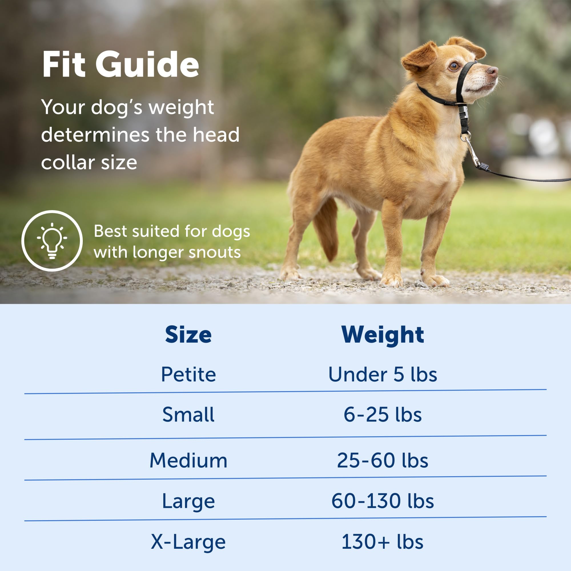 Petsafe Gentle Leader No-Pull Dog Headcollar - The Ultimate Solution To Pulling - Redirects Your Dog'S Pulling For Easier Walks - Helps You Regain Control - Petite, Black