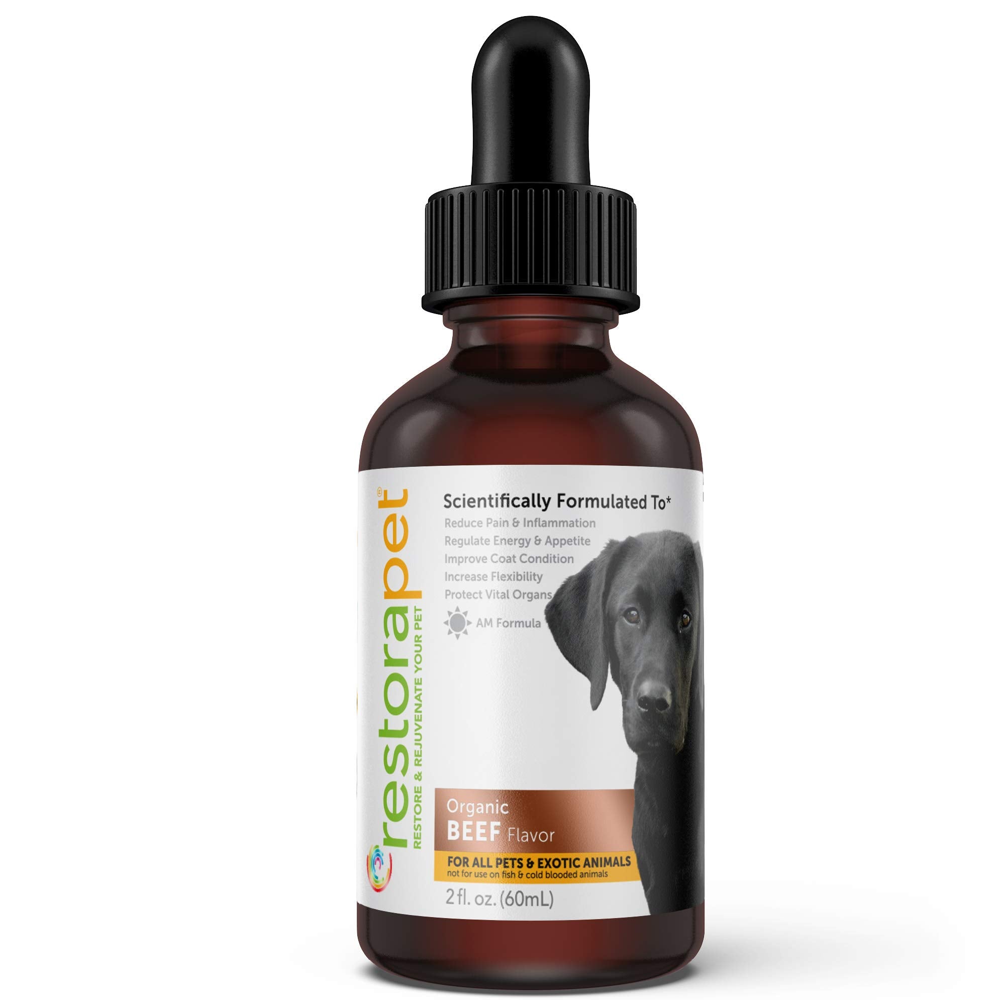 RestoraPet 1-Pack Dog & Cat Beef Liquid Multivitamin | Dog Arthritis Pain Relief | Hip & Joint Vitamins for Dogs - Anti Inflamma