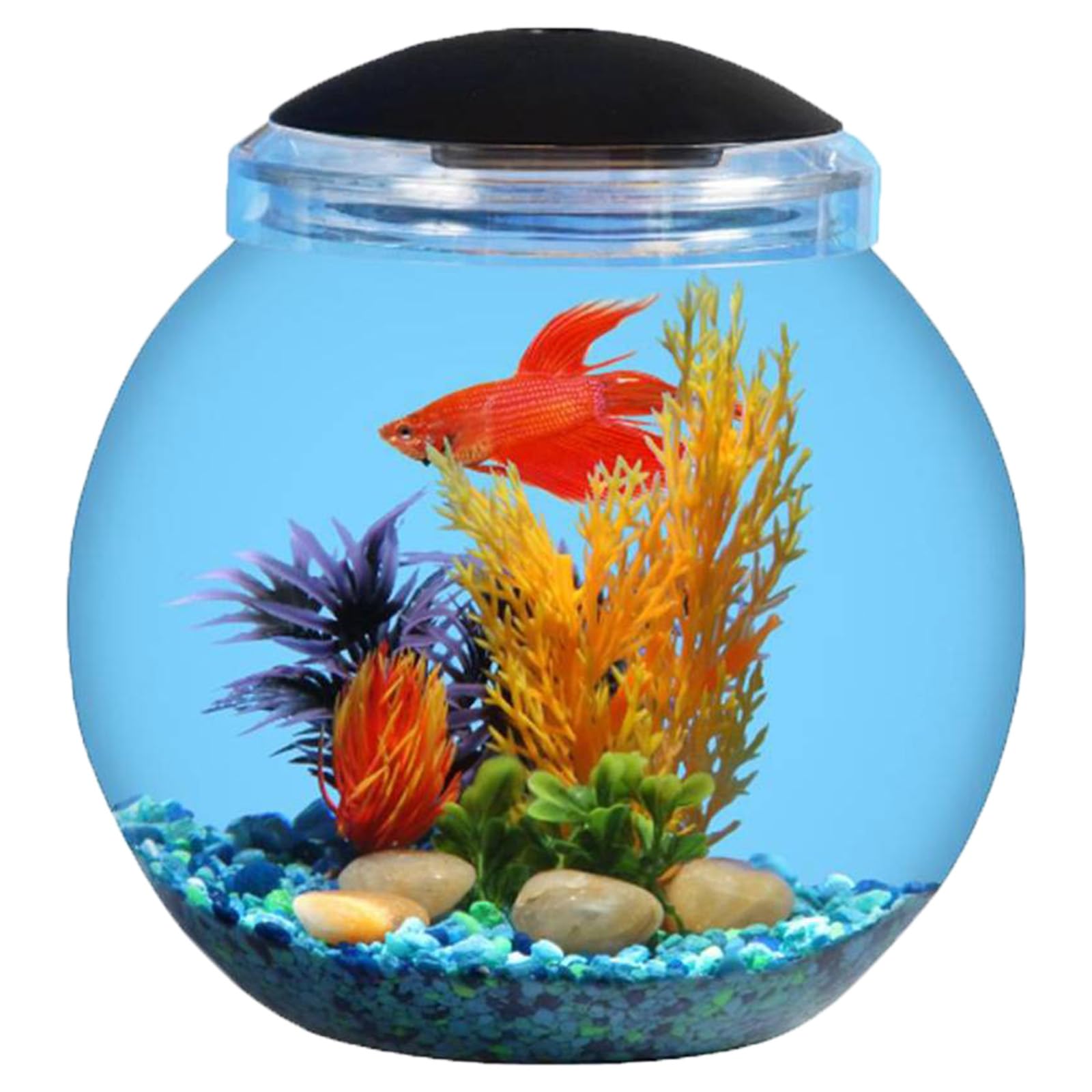 Koller Products 1-Gallon Globe Fish Bowl, Impact- Resistant Plastic Aquarium Starter Kits With Led Lighting, Buit-In Timer, Crystal-Clear Clarity, Desktop Fish Tank For Home Décor