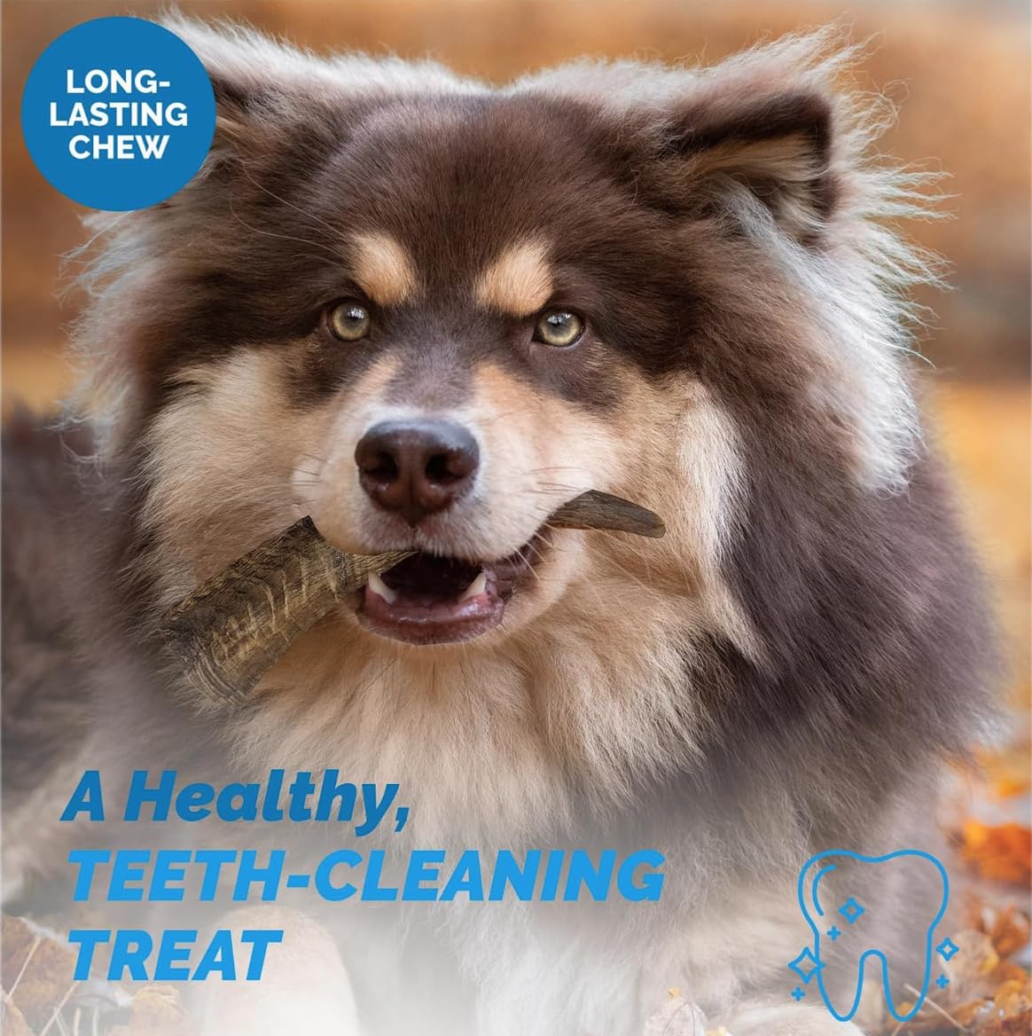 123 Treats Goat Horns for Dogs - (Large, 3 Count) Long Lasting Dog Treats for Aggressive Chewers, 100% Natural, Rich in Protein