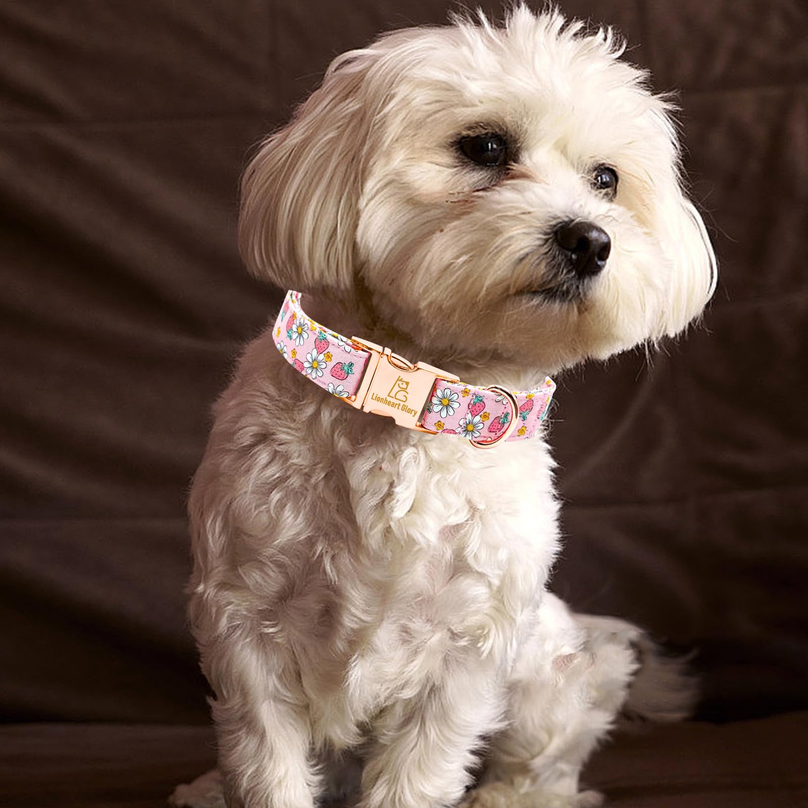 Lionheart Glory Dog Collar Pink Dogs Collar Spring Summer Cute Collars Dog Female Soft Durable Adjustable Dog Collars For Small