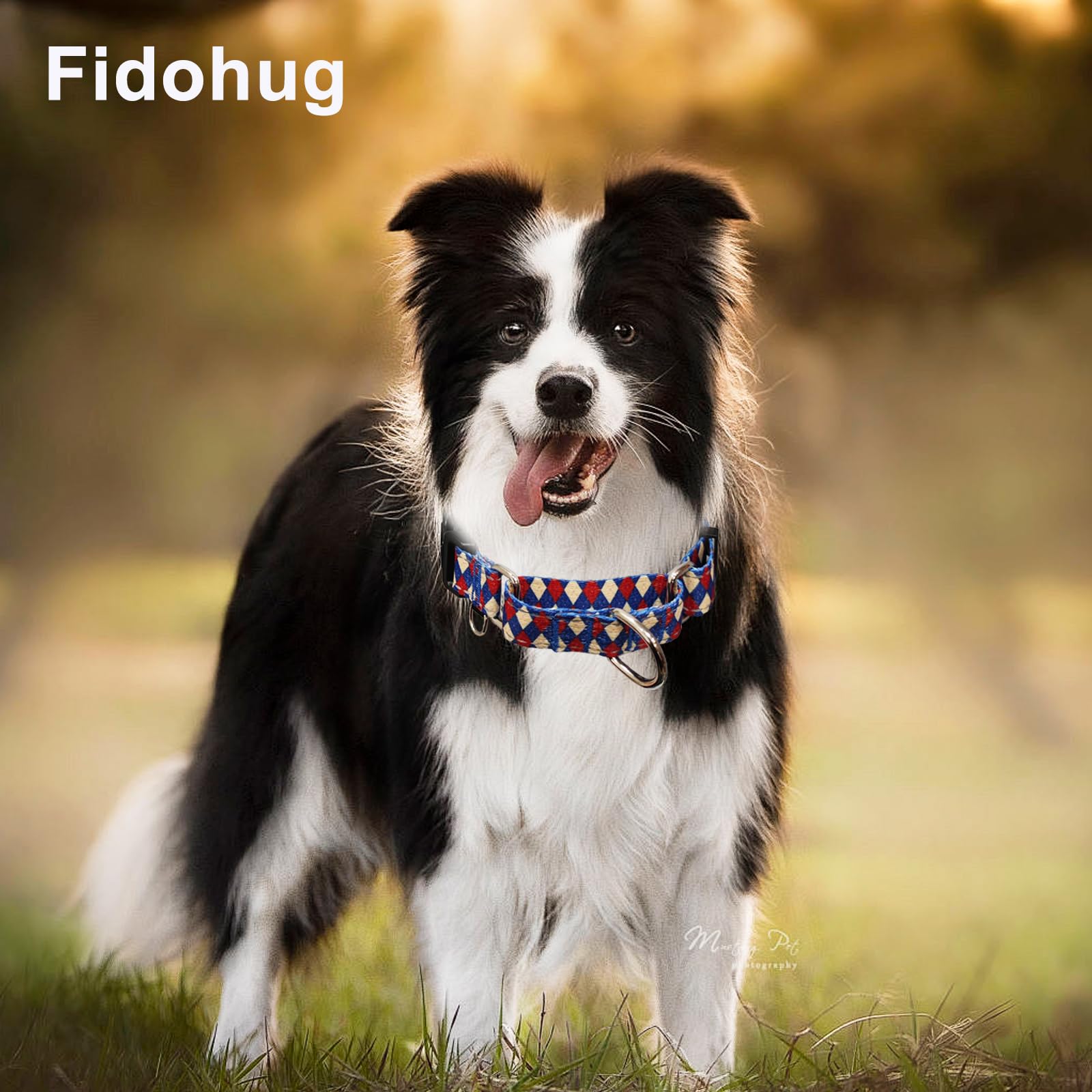 Fidohug Reflective Martingale Dog Collar With Buckle Soft Nylon Geometric Patterns Pet Collars For Large Dogs (Argyle, L)