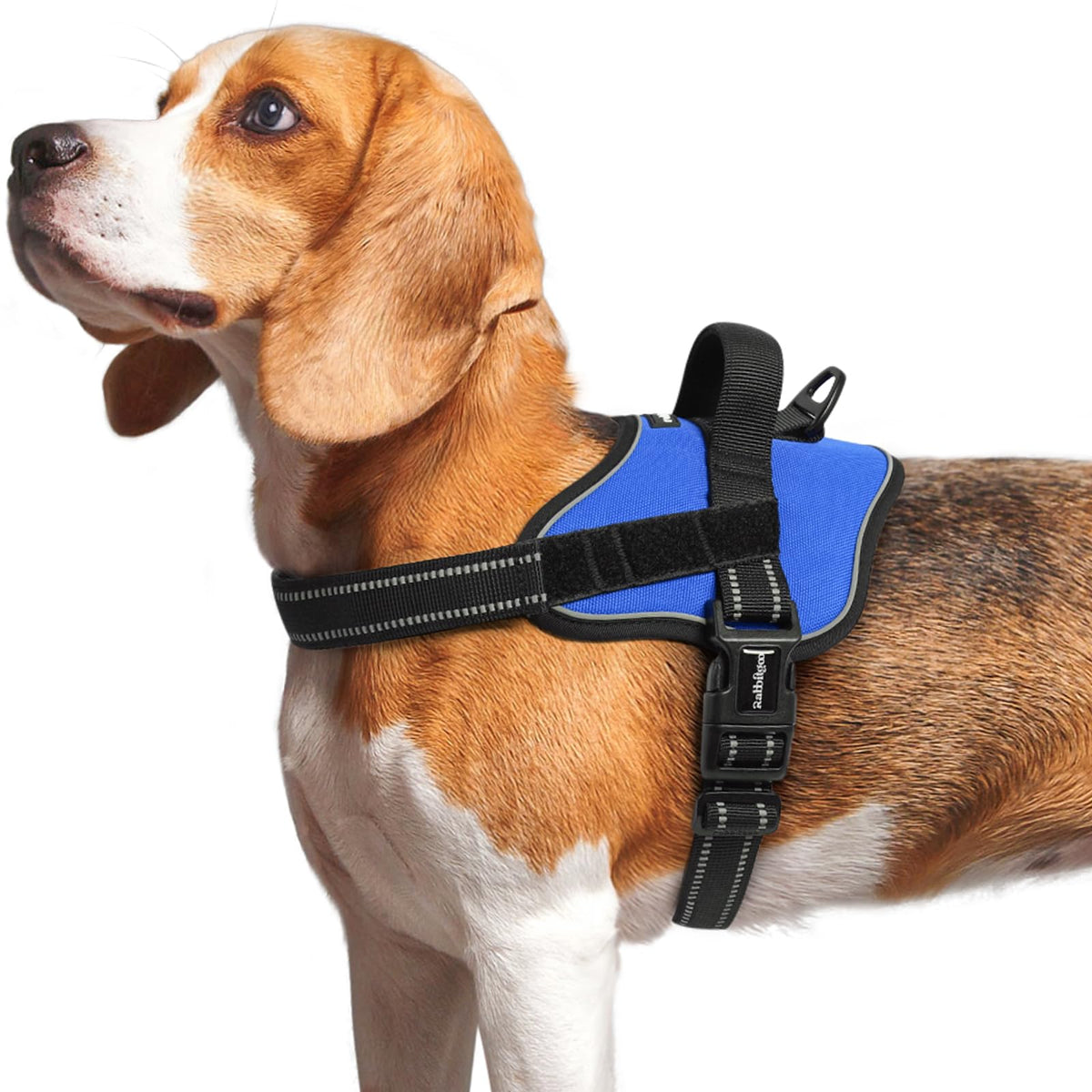 Rabbitgoo Dog Harness Medium Sized, No Pull No Choke Pet Vest, Easy Wearing With One Buckle, Reflective, Adjustable Pet Harness 