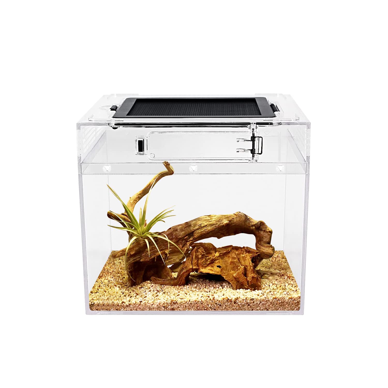 Reptile Growth Mini Reptile Terrarium,8'' X 8''X 8'' Reptile Tank With Full View Visually Appealing,For Insect,Fish,Tarantula,He