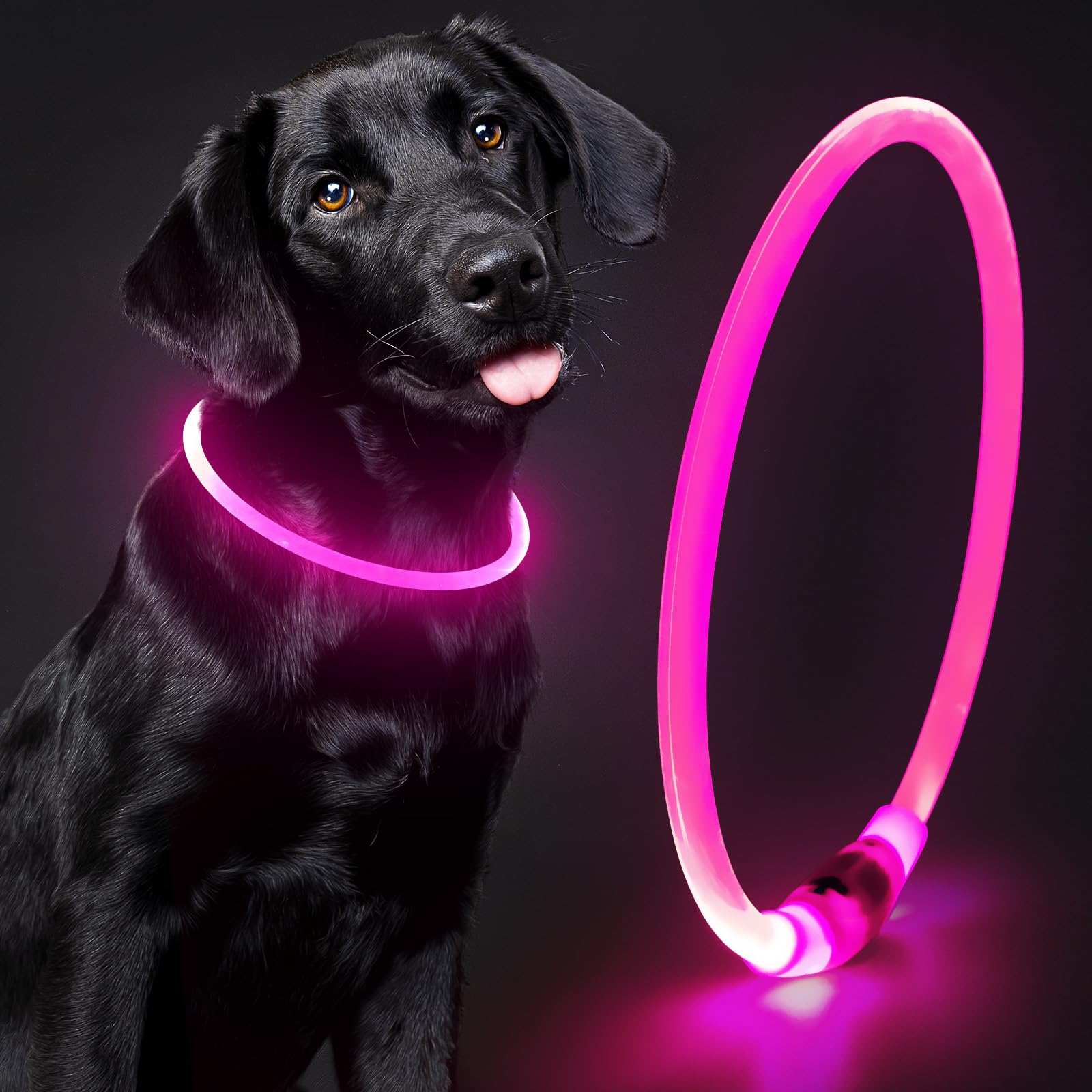 Domagiker Light Up Dog Collar - Waterproof Led Pet Collar Rechargeable, Tpu Cuttable Glow In The Dark Dog Lights For Night Walki