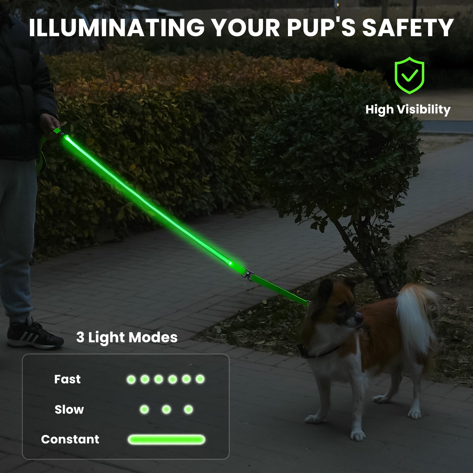Petisay Led Dog Leash - Rechargeable, Waterproof & Reflective, 6Ft Tangle-Free For Night Walking(Green)