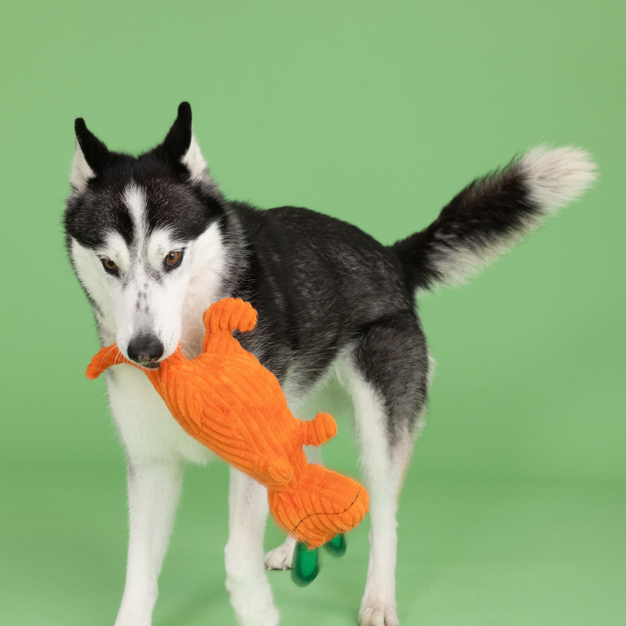 Fringe Studio Plush Dog Toy, Carrot Bout You, Petshop Collection (314305)