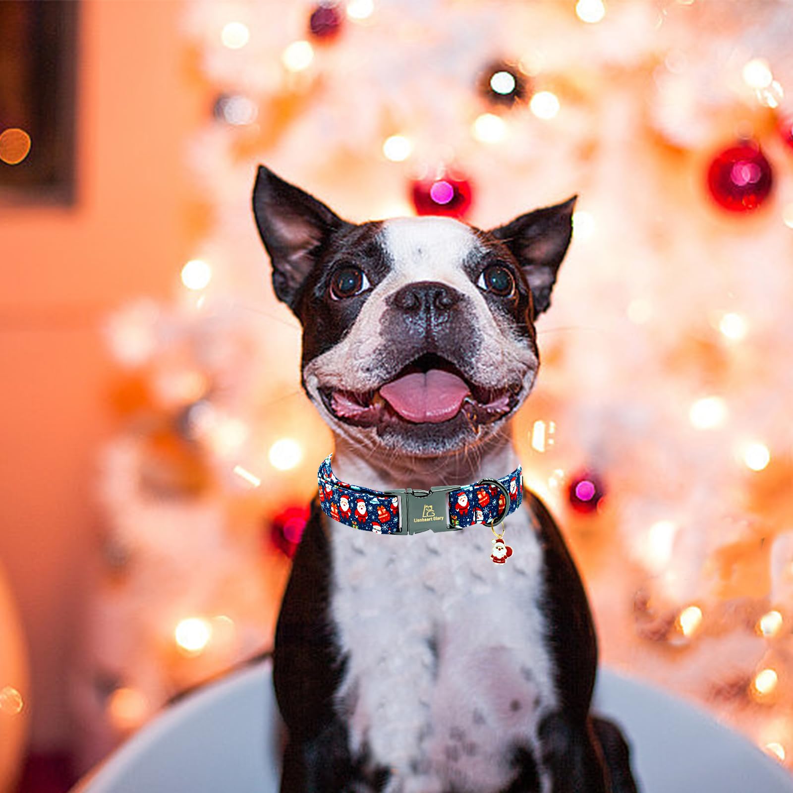 Lionheart Glory Christmas Dog Collar Santa Print Collars Soft Durable Adjustable Dog Collars For Small Dogs Pet Gift Female Or M
