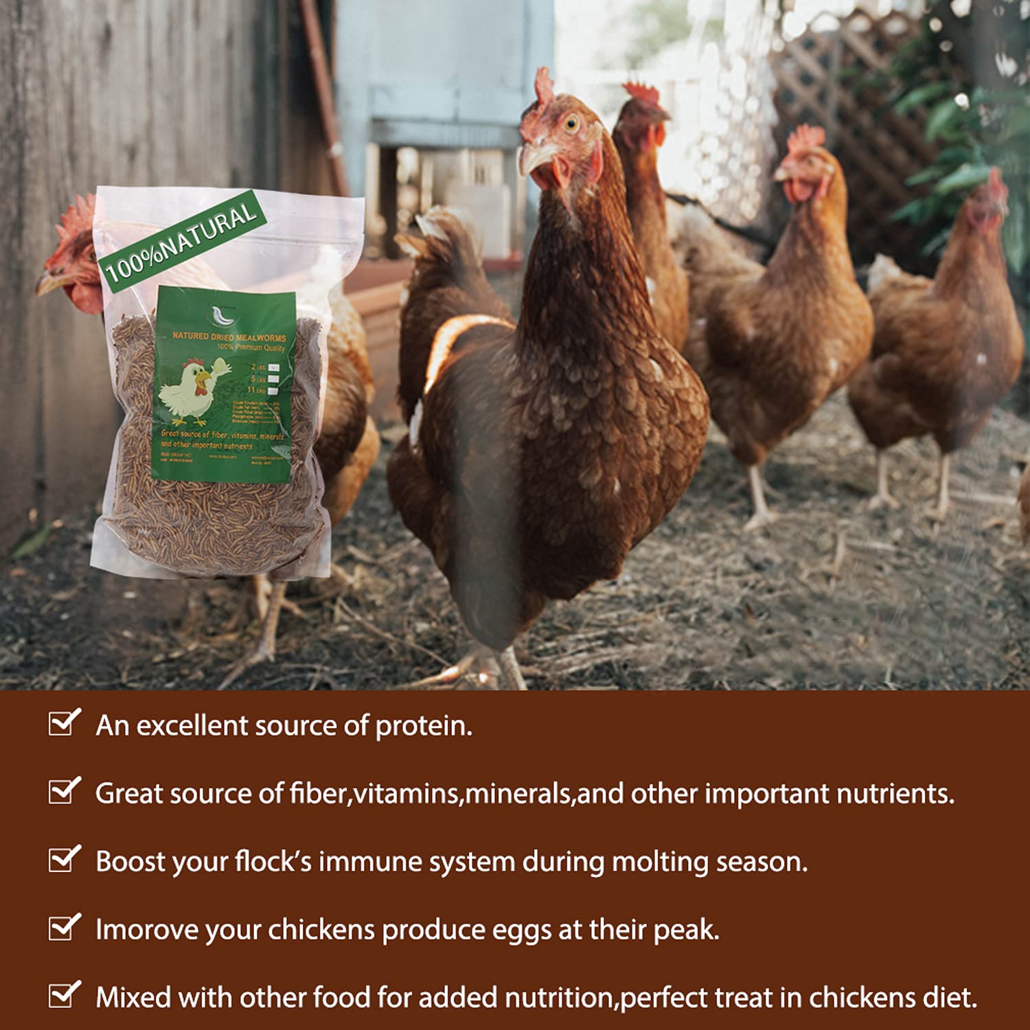 Euchirus High-Protein Dried Mealworms for Chickens & Wild Birds - 6LB Non-GMO Poultry Treats