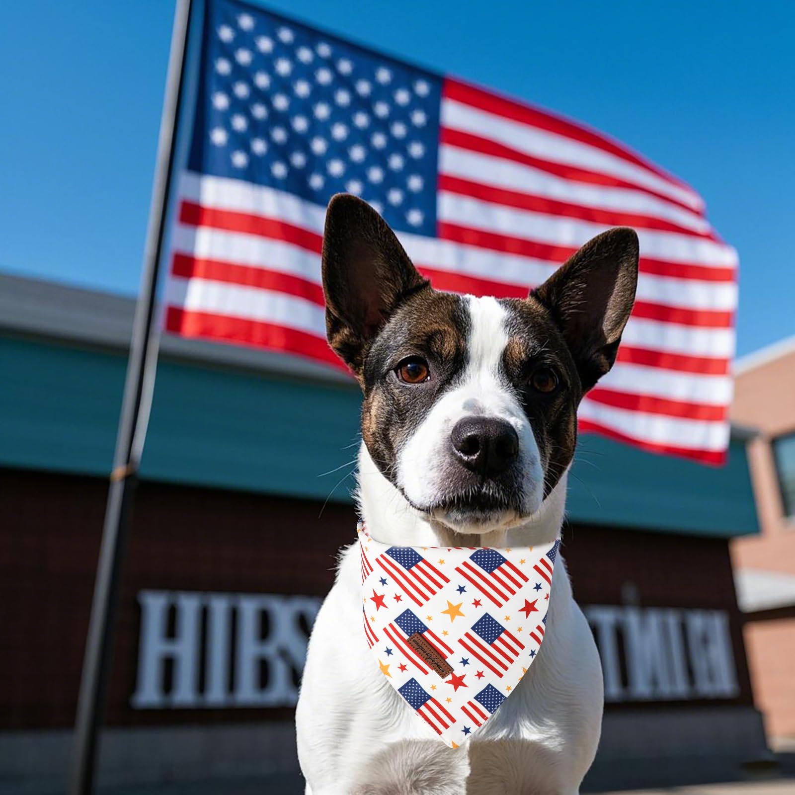 Unique Style Paws Dog Independence Bandanas 2Pcs Washable Cotton Triangle Summer Striped Star Flag Puppy Scarfs For Small Medium