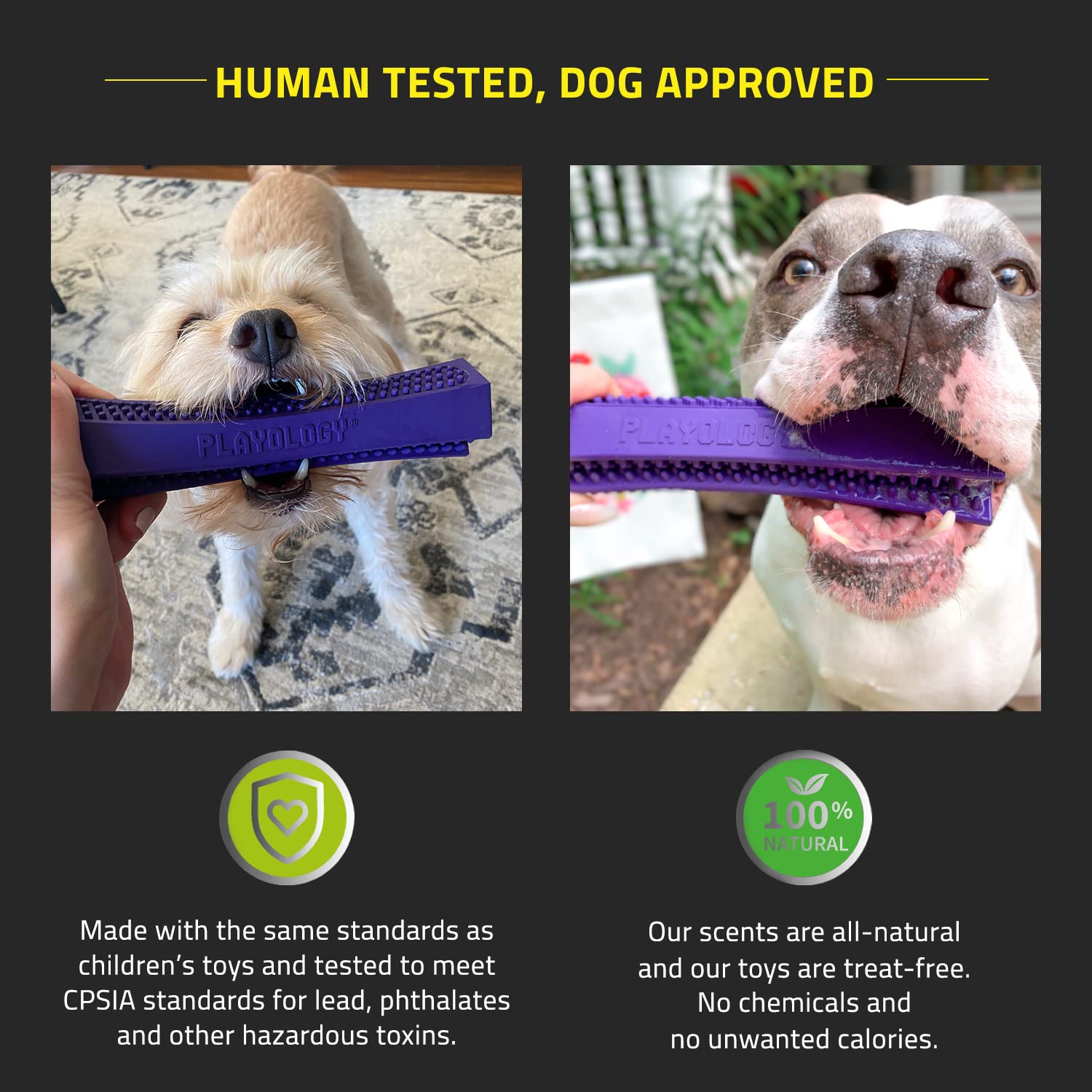 Playology Silver Dental Chew Stick Dog Toy, Medium - Designed for Senior Dogs (15-35lbs) - Engaging All-Natural Pork Sausage Sce