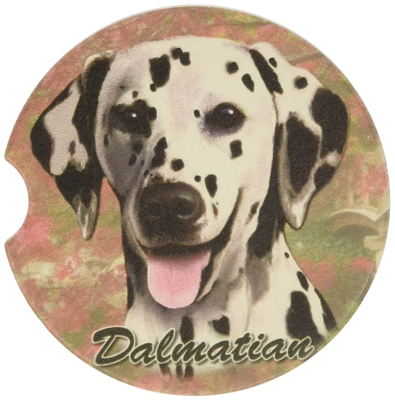 E&S Pets Dalmatian Coaster, 3' X 3'