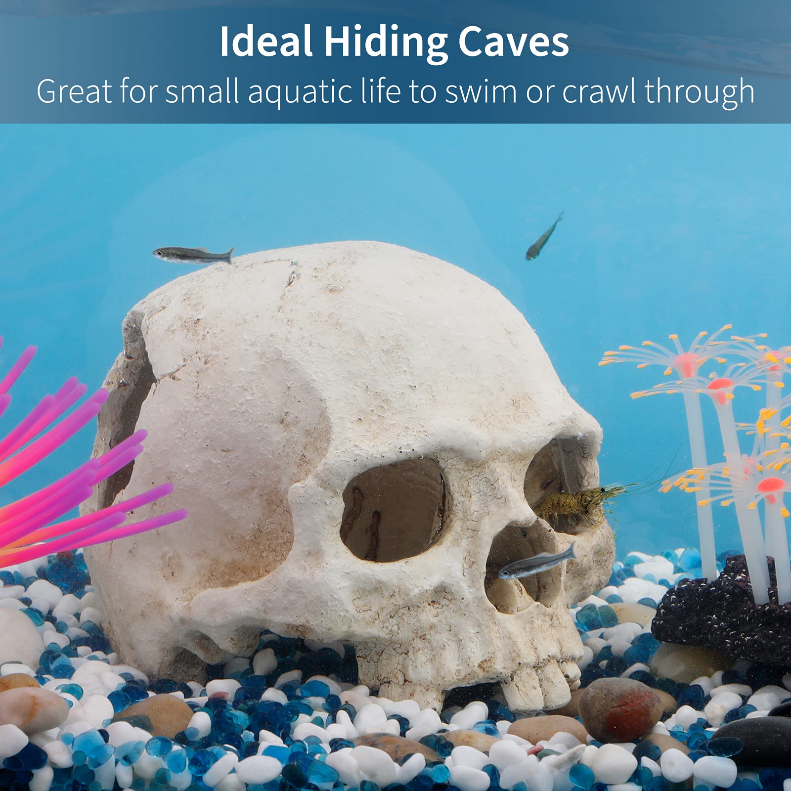 Uniclife Aquarium Skull Reptile House Decor Resin Head Skeleton Ornament For Tank Landscape Decorative Hideout Cave Shelter For Small Fish Shrimp Snail Gecko Spider Lizard In 5-20 Gallon Fish Tank