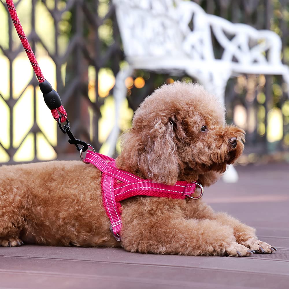 Plutus Pet No Pull Dog Harness With Breathable Mesh Padded, Adjustable Reflective Escape Proof Dog Harness, Quick Fit Dog Vest Harness For Small Medium Large Dogs(Xs, Pink)