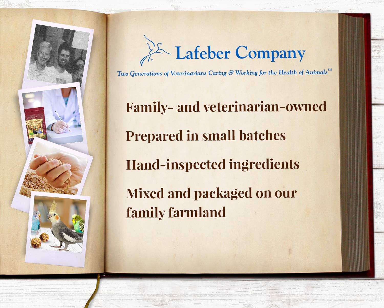 LafeberS Senior Bird Nutri-Berries Pet Bird Food, Made With Non-Gmo And Human-Grade Ingredients, For Parakeets & Cockatiels, 10