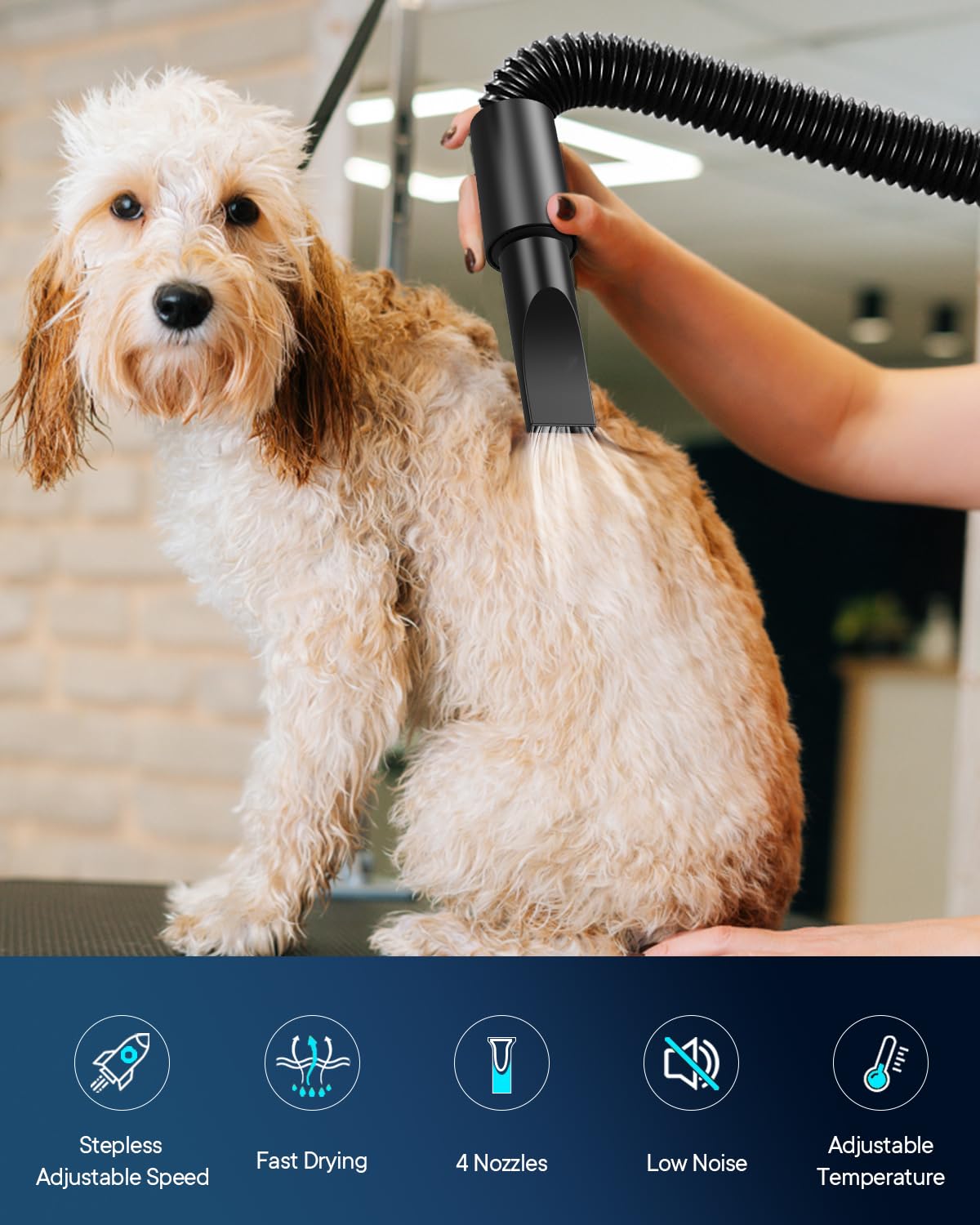EGFKI Dog Dryer 5.2HP High Velocity Hair Blower with 4 Nozzles, Adjustable Speed & Temperature, Dark Black Pet Grooming Tool