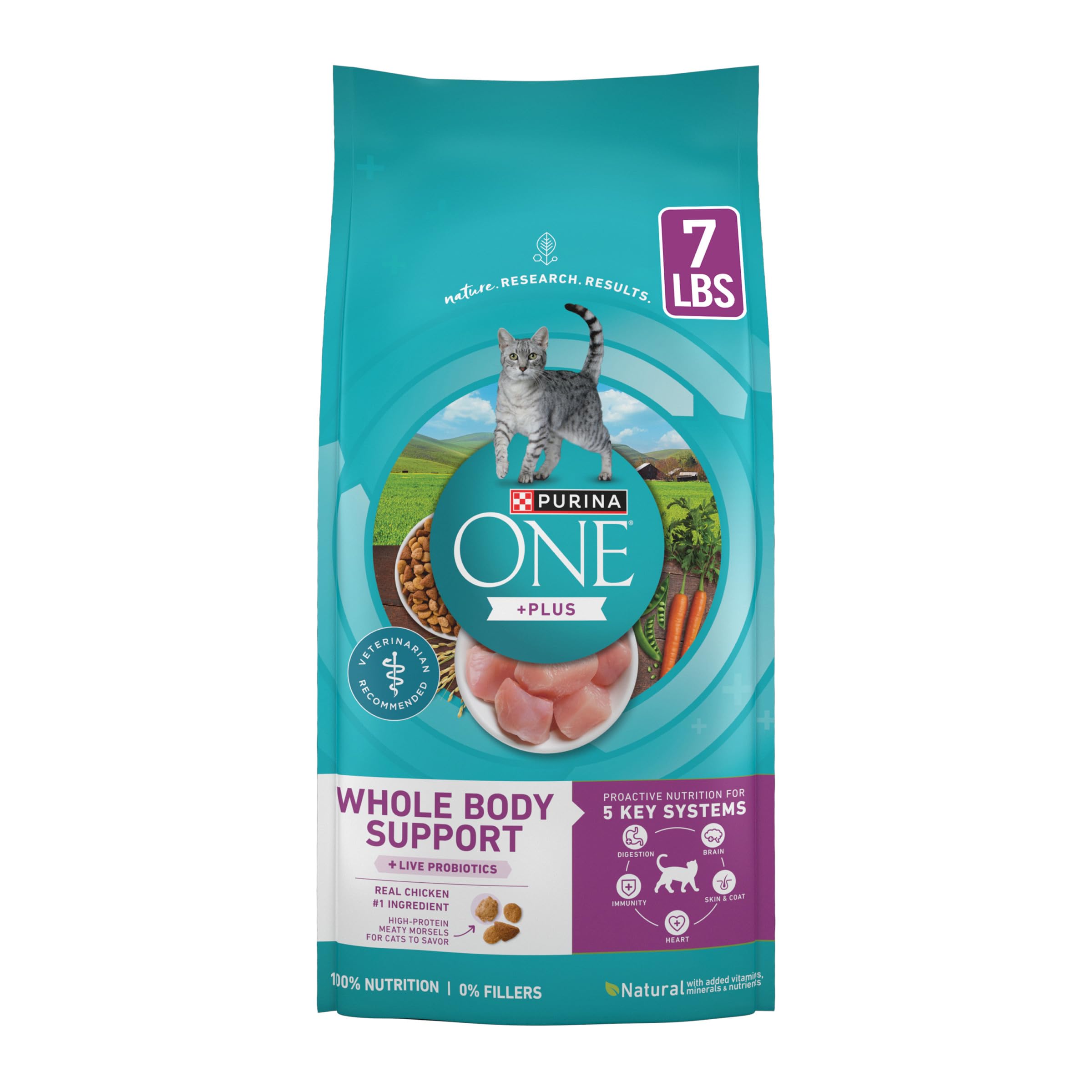 Purina ONE Plus Whole Body Support with Chicken Dry Cat Food - 7 b. Bag