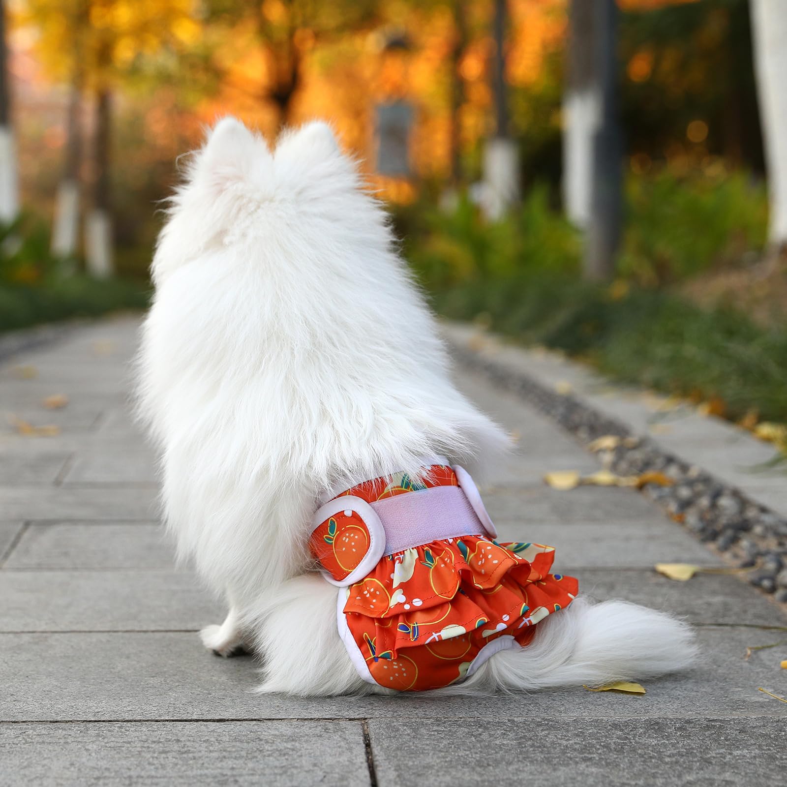 Mengelina Reusable Dog Diapers Washable (3 Pack), Puppy Diapers Highly Absorbent For Heat & Urination Issues, Xs