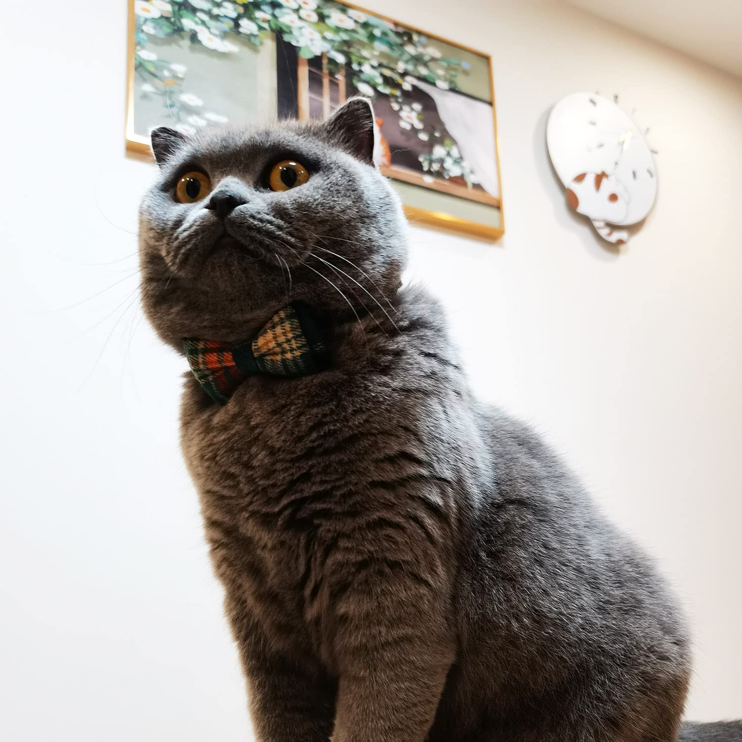 Cat Collar Breakaway With Bell And Bow Tie, Plaid Design Adjustable Safety Kitty Kitten Collars(6.8-10.8In)(Christmas Red&Green)