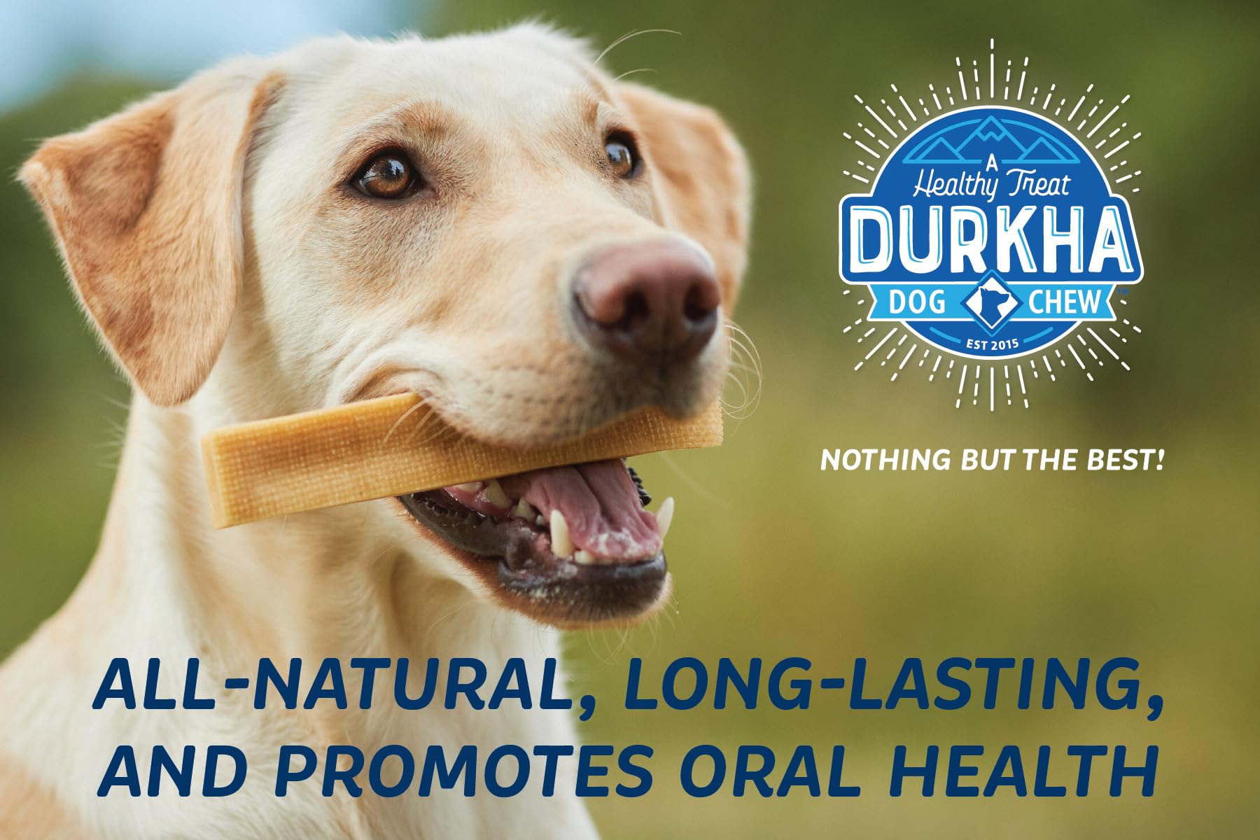 Durkha Yak Cheese Chews: Himalayan Yak Cheese Dog Chews- Natural, Healthy & Long Lasting Dog Treats - Grain, Gluten & Lactose-Fr
