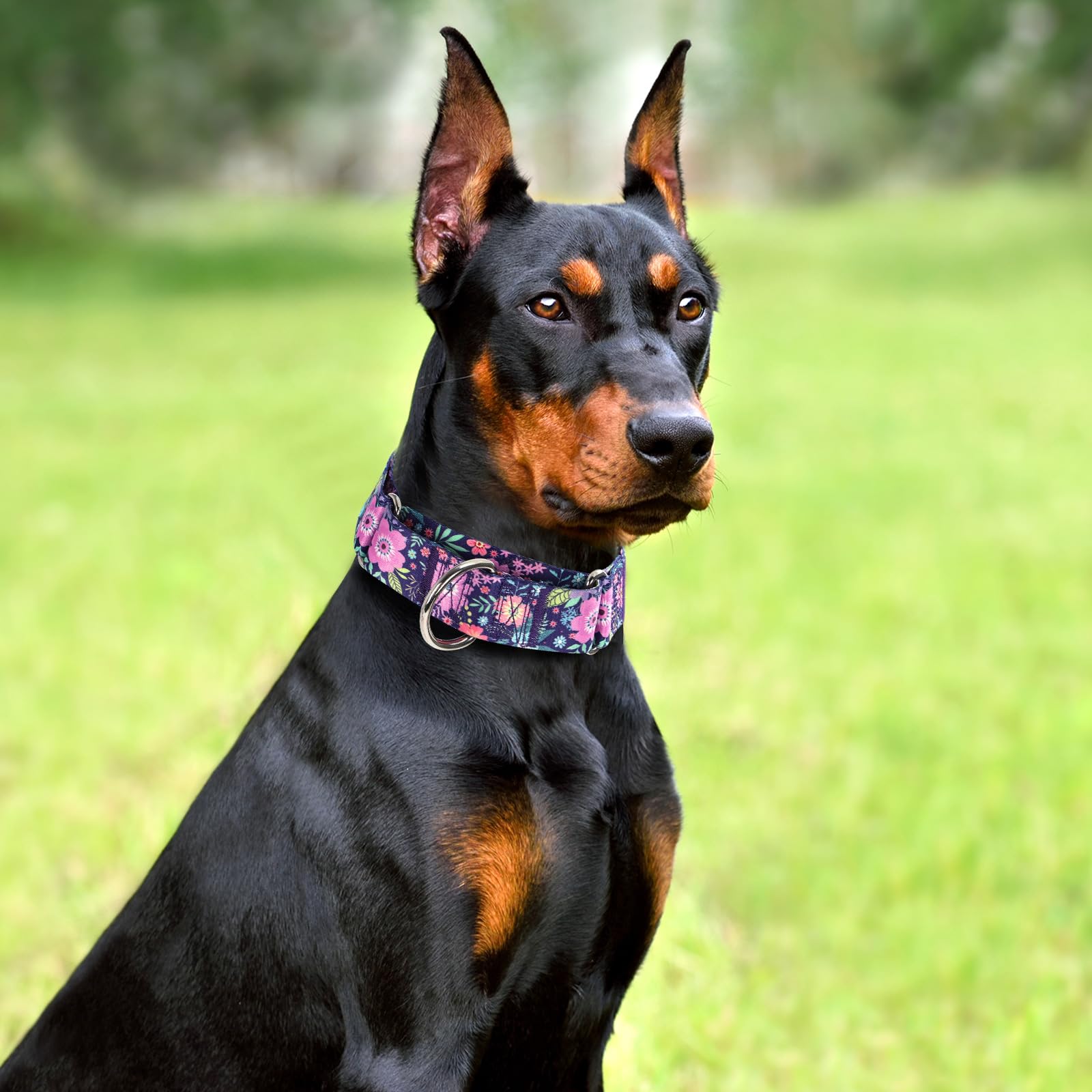 Wide 1.5 Inch Martingale Collar For Medium Dogs,Big Thick Dog Collarno-Slip Escape Proof Choke No Pull Cinch For Male And Female