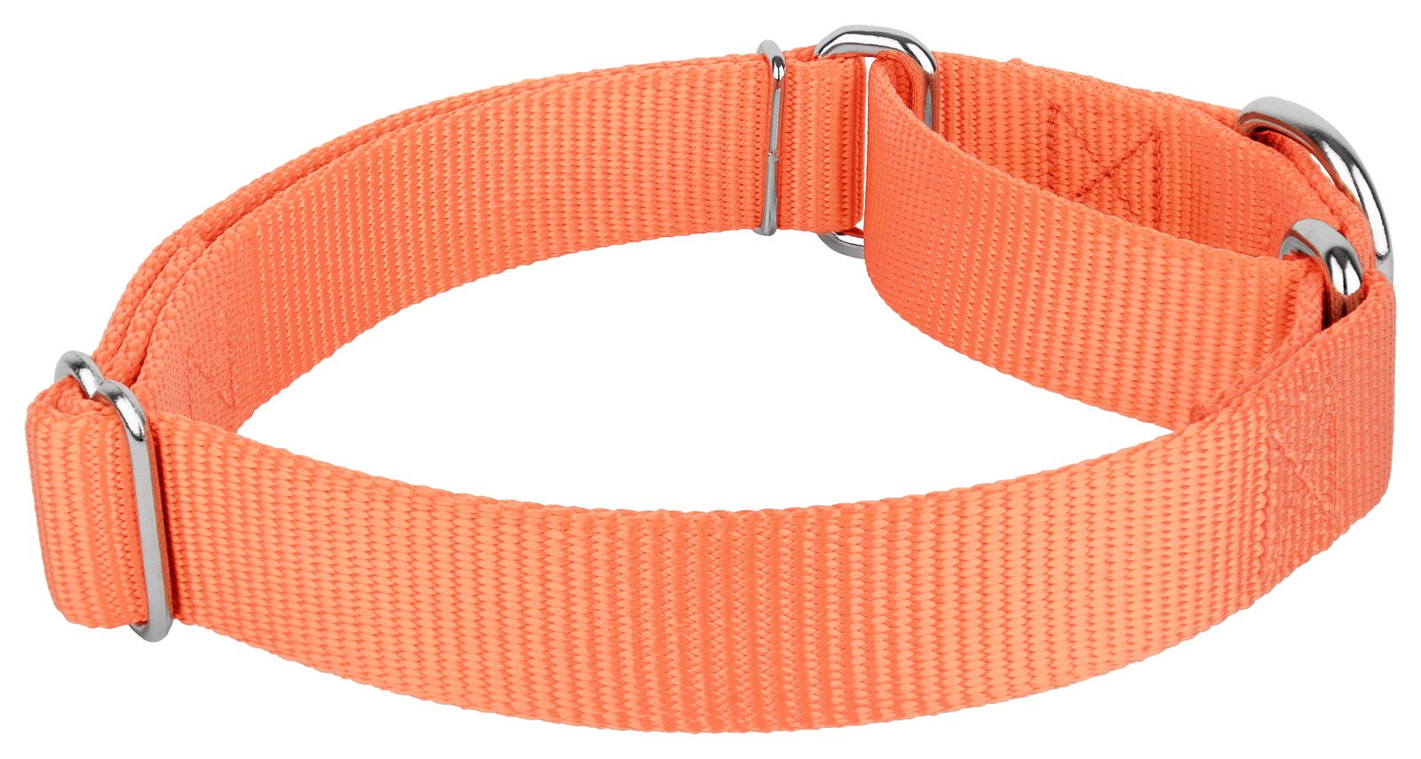 Country Brook Design - Mango Martingale Heavy Duty Nylon Dog Collar - 21 Vibrant Color Options (1 Inch Width, Large)