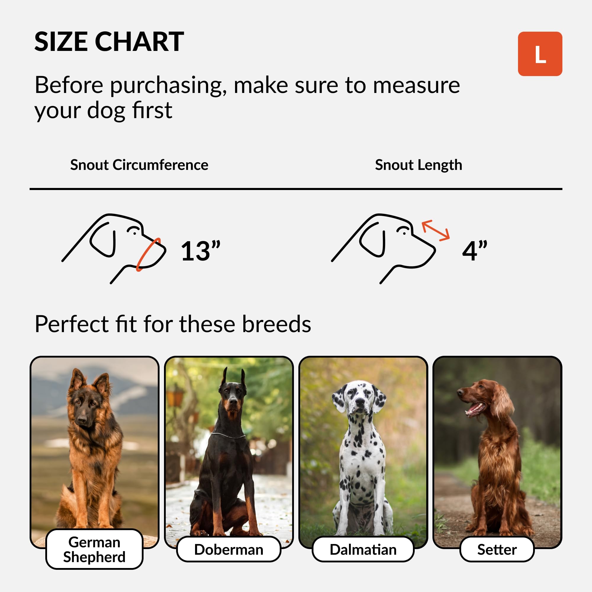 Collardirect Dog Muzzle German Shepherd Dalmatian Doberman Setter Leather Basket Medium Large Breeds Black Brown (L, Black)