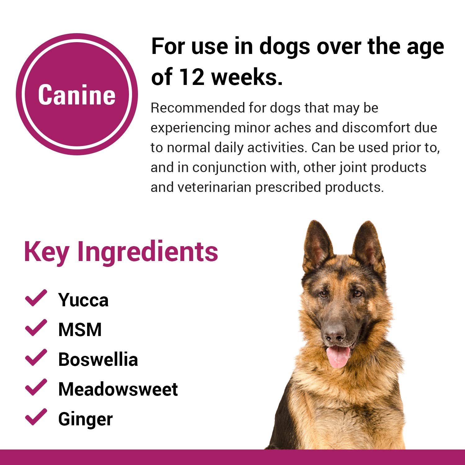 Vet Classics Pain Plus Extra Strength Health Supplement for Dogs - 120 Soft Chews