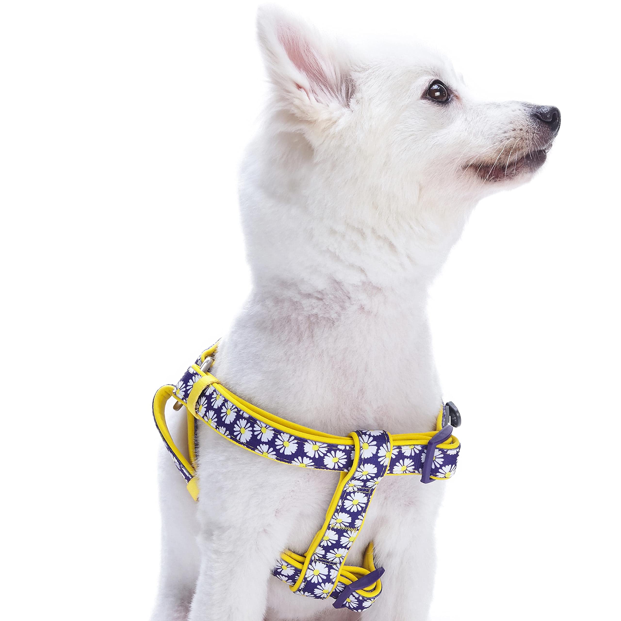 Blueberry Pet 2 Patterns Soft & Comfy Step-In Loving Daisy Prints Padded Dog Harness, Chest Girth 16.5' - 21.5', Small, Adjustable Harnesses For Dogs