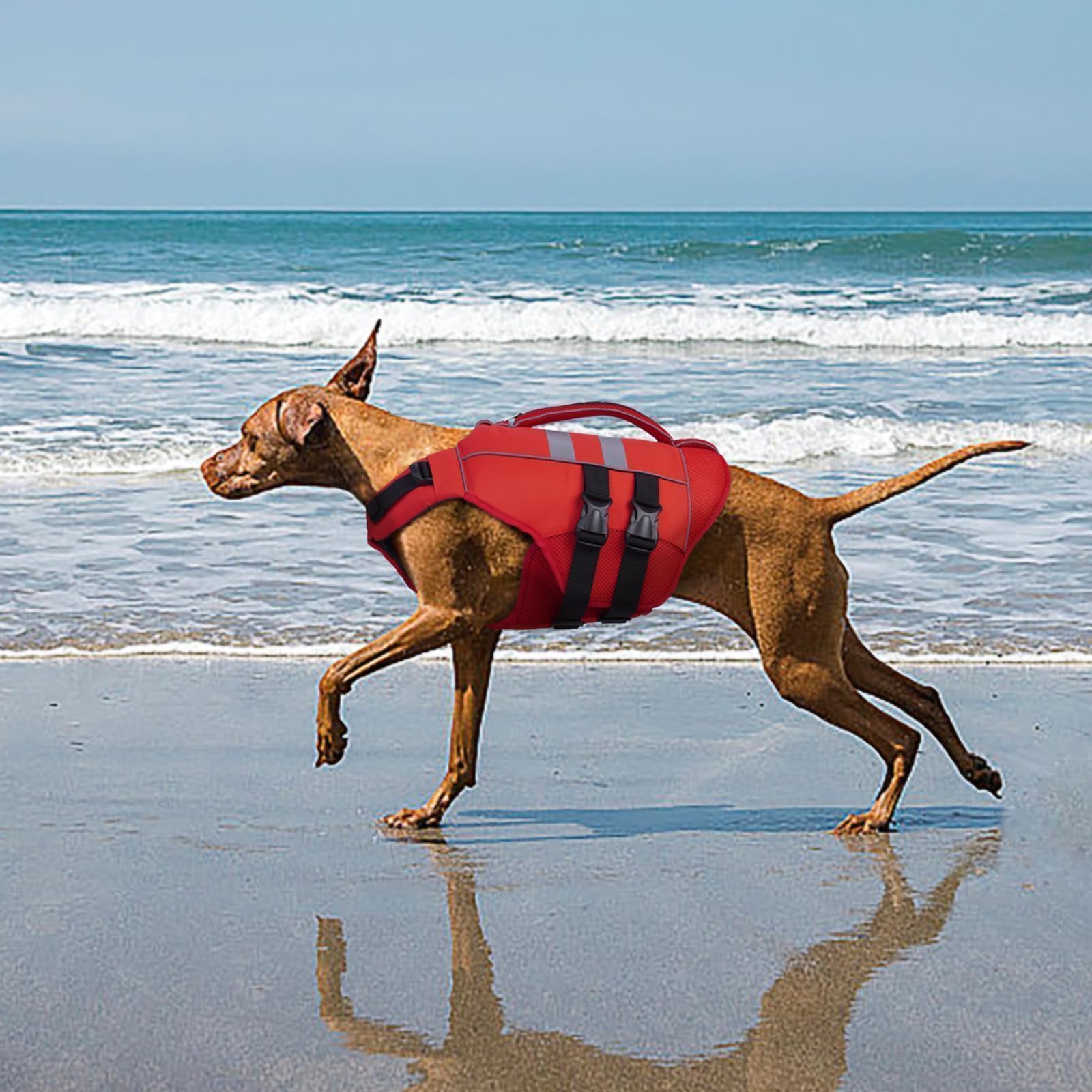 Kuoser Xl Dog Life Jacket, Large High Flotation Dog Life Vest For Swimming Boating, Reflective Dog Swimming Vest Pet Life Preser