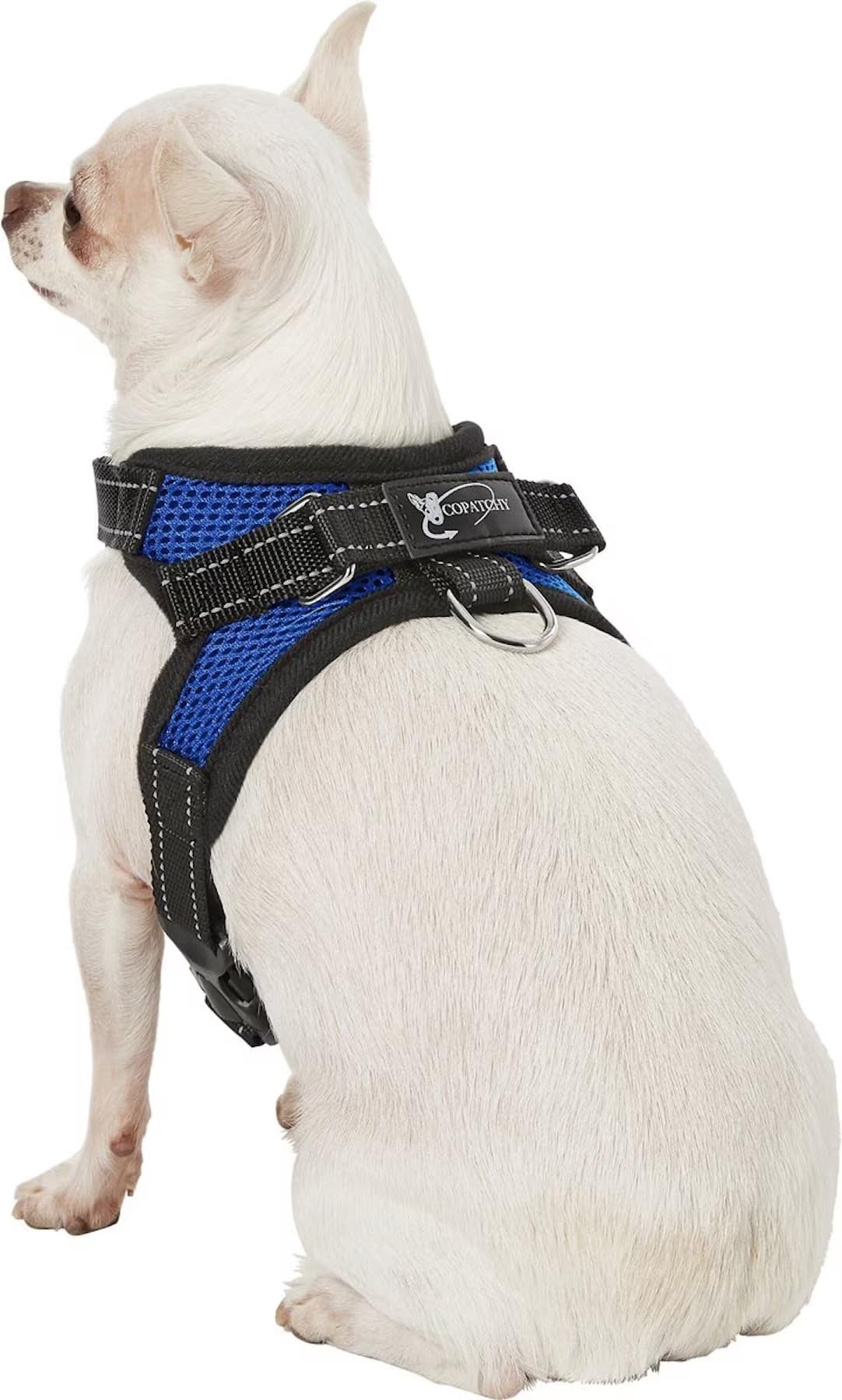 Copatchy Dog Harness Small Sized Dogs - All Weather Mesh Overhead Adjustable No Pull Vest Puppy Reflective Harness With Handle For Extra Small And Small Dogs By Copatchy - Harness (Blue) X-Small