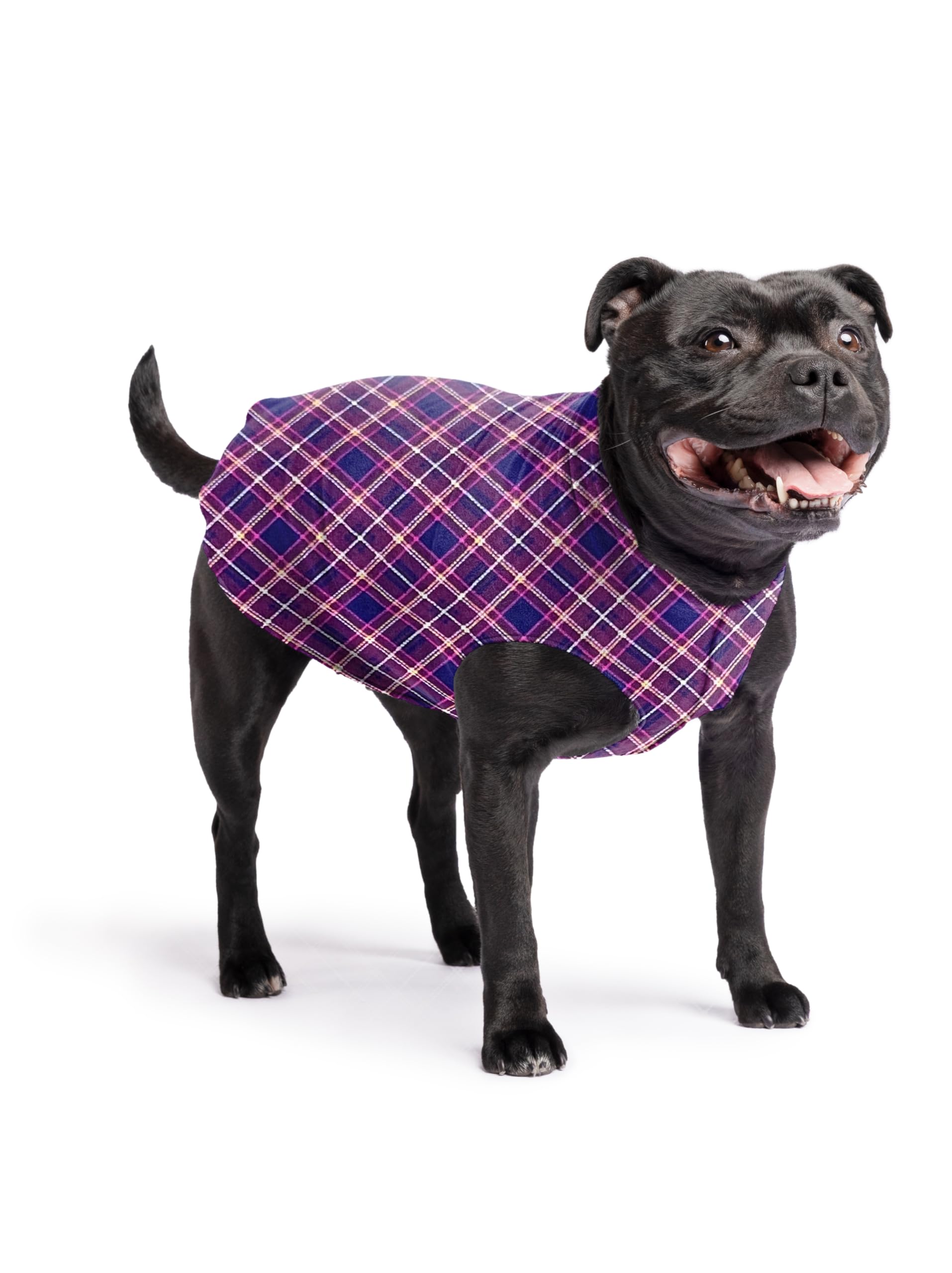 Gold Paw Stretch Fleece Dog Coat, Stretchy Pet Sweater, Machine Washable Pullover For Winter And Fall, Mulberry Plaid, 16