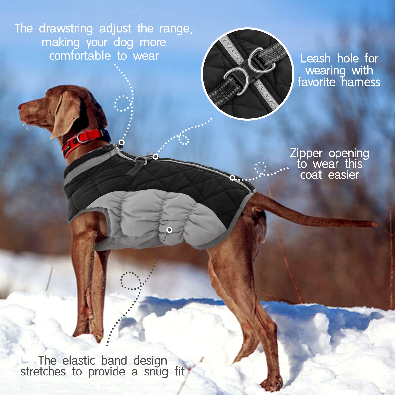 Fuamey Warm Winter Dog Jacket With Built-In Harness, Waterproof Windproof Reflective Fleece Vest With Zipper For Medium Dogs - B