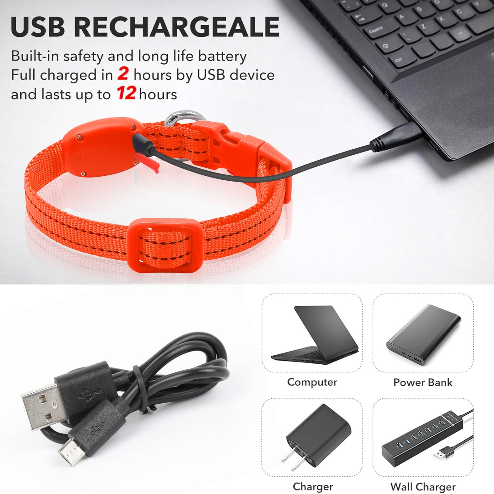 Domiglow Light Up Dog Collar - Rechargeable Led Dog Collar, Adjustable Reflective Puppy Collar, Glowing Safety Dog Lights For Sm