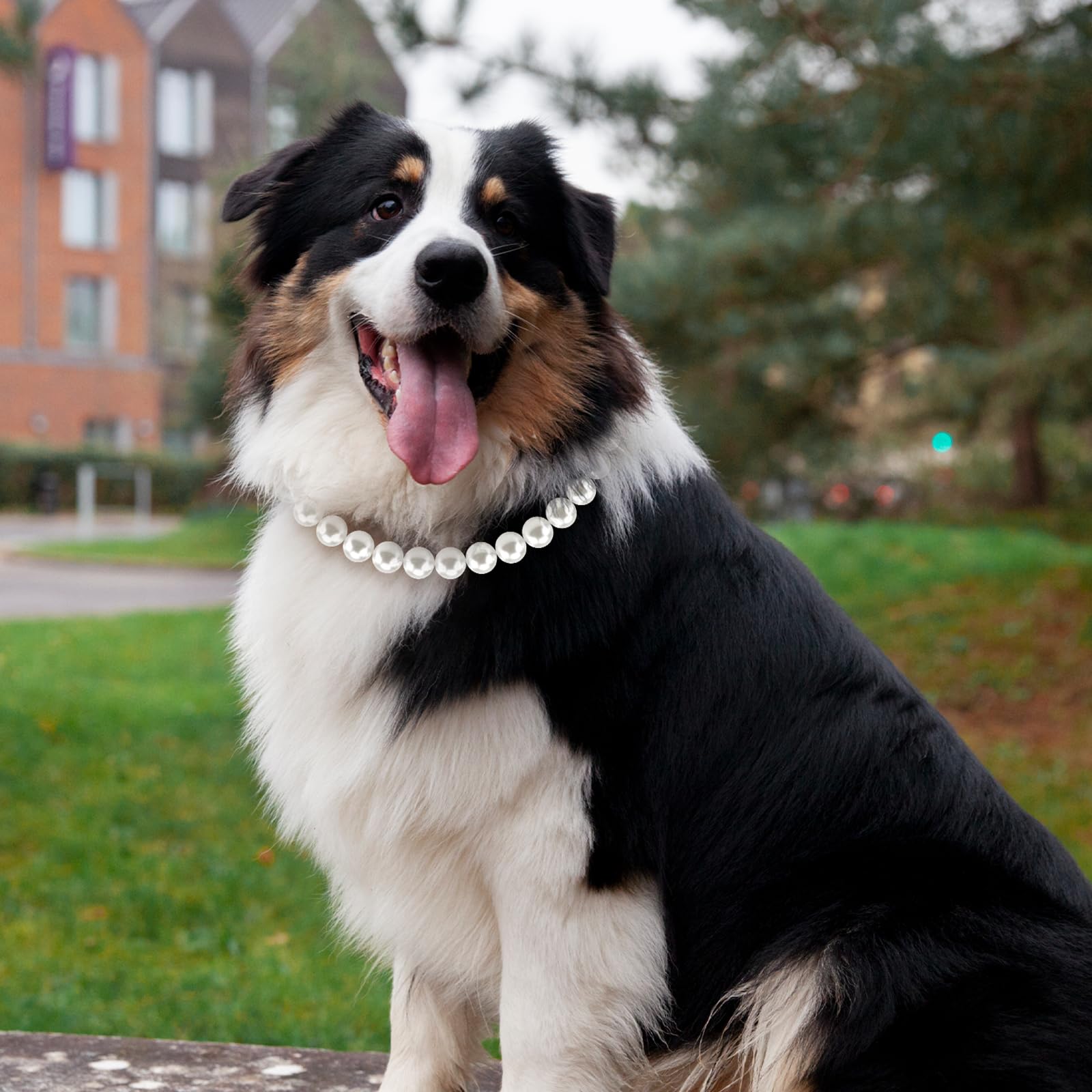 Chunky Pearl Dog Necklace (Beads 19Mm) With Strong Stainless Steel Wire Rope, Elegant Adjustable Pearl Collar Jewellery Accessor