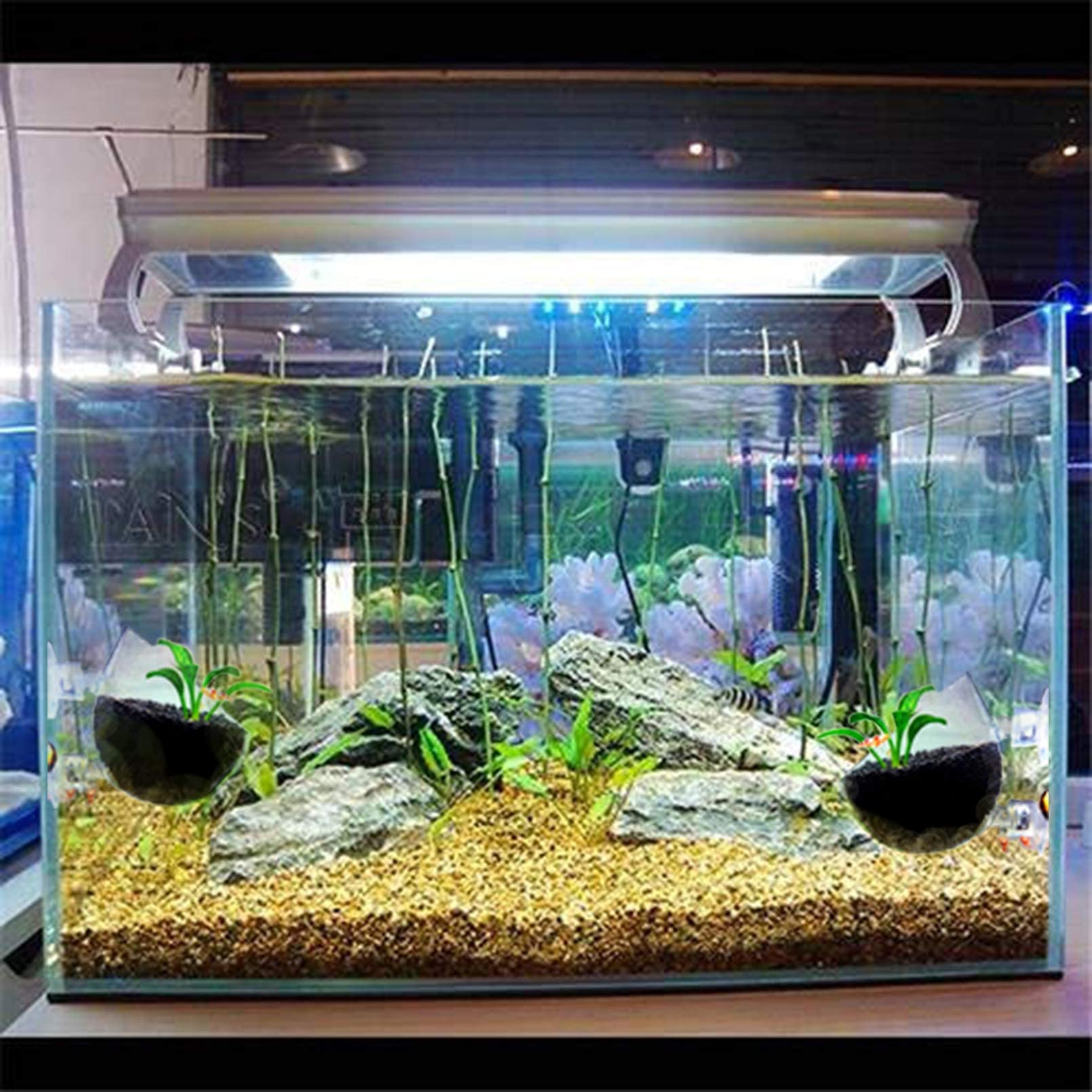 Tfwadmx Aquarium Plant Holder Plant Pot Aquarium Decor Crystal Glass Aquatic Plant Cup With Suction Cups For Fish Tank Aquascape Decoration (4 Pack)