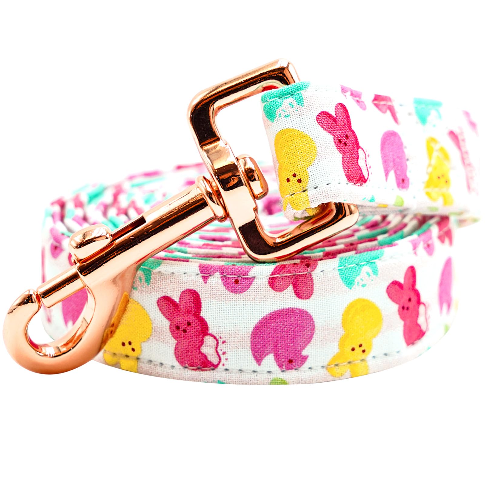 Lionheart Glory Easter Strong Dog Leash, Summer Spring Durable Dog Leashes With Soft Handle For Walking Training Small Male Or F