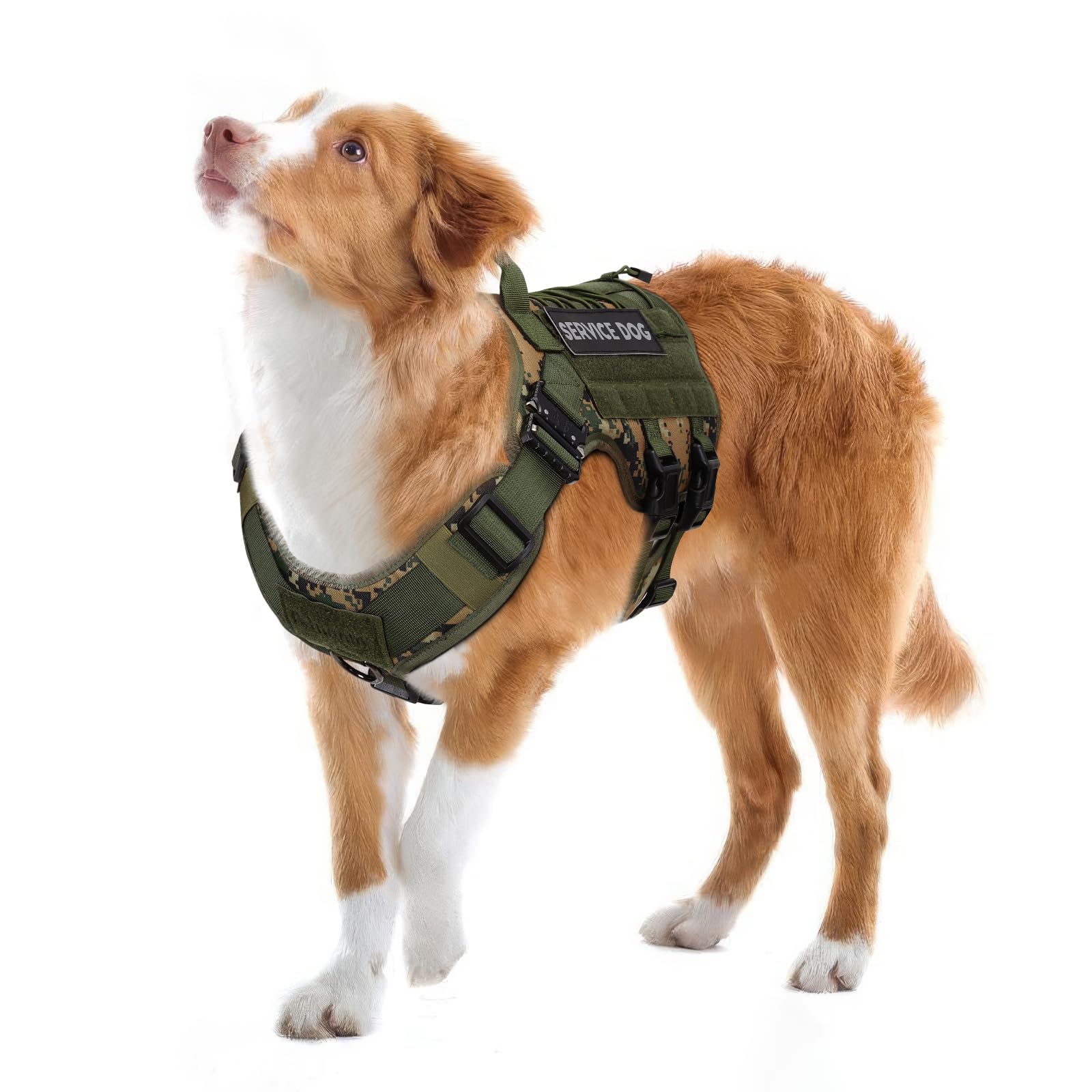 Petnanny Tactical Dog Harness - Service Dog Harness Emotional Support Dog Vest For Medium Large Dogs, No Pull Esa Dog Vest With Hook & Loop, Working Molle Vest For Training Hunting…