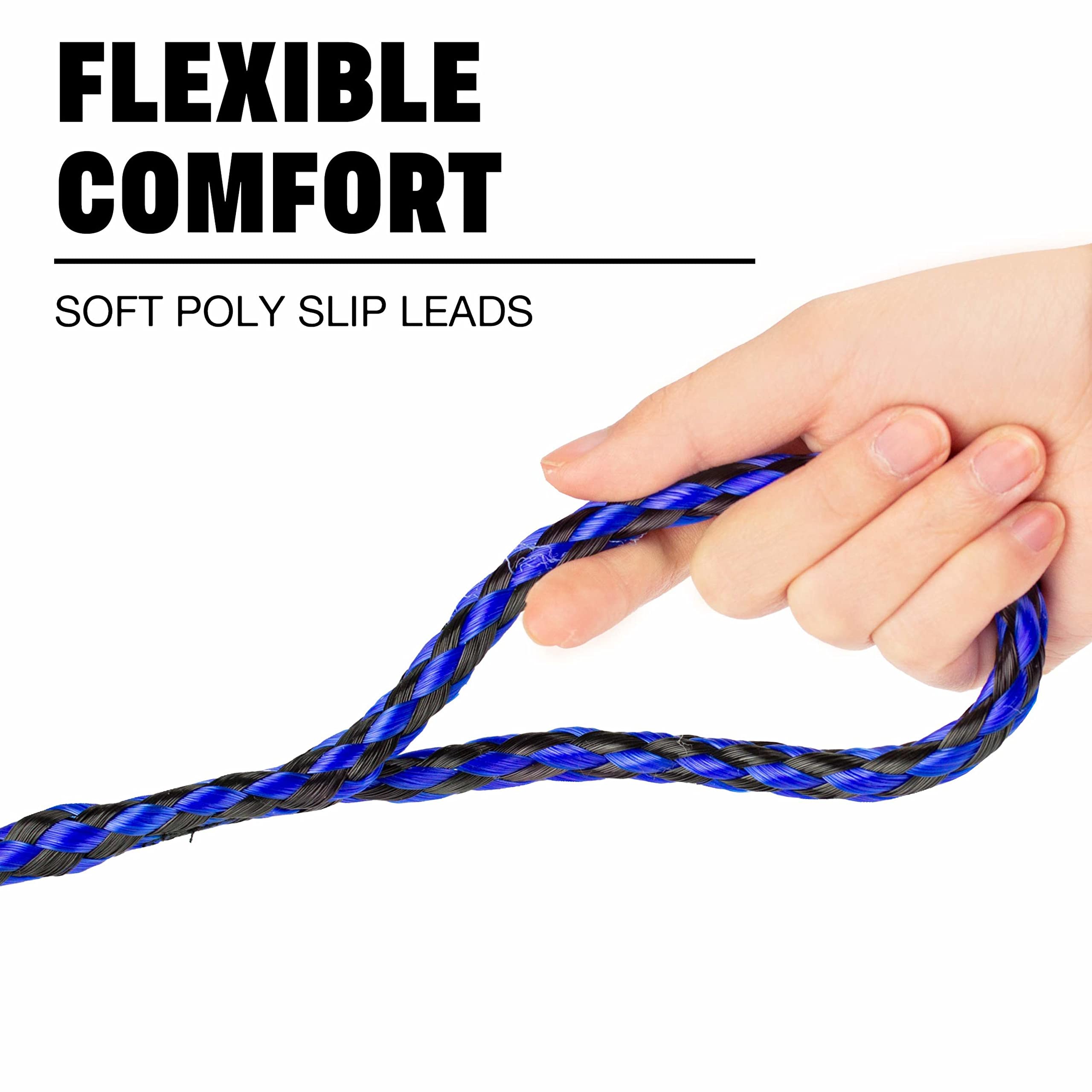 Downtown Pet Supply Braided Poly Slip Lead Dog Leash, 24 Pack, 5' Long - Universal Dog Slip Leash With Metal O Ring - Durable Fo